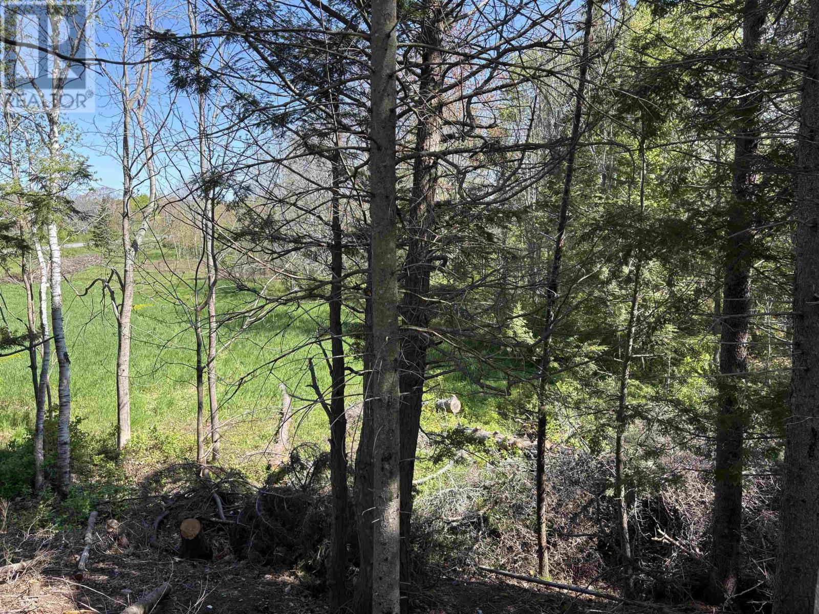 Lot 2.4+- Acres Oliver Road, Hazel Glen, Nova Scotia  B0K 2A0 - Photo 3 - 202422432