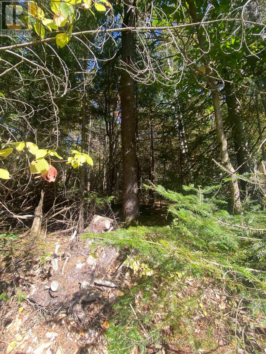 0 So Ho Mish Road, Perry, Ontario  P0A 1J0 - Photo 4 - X12182441