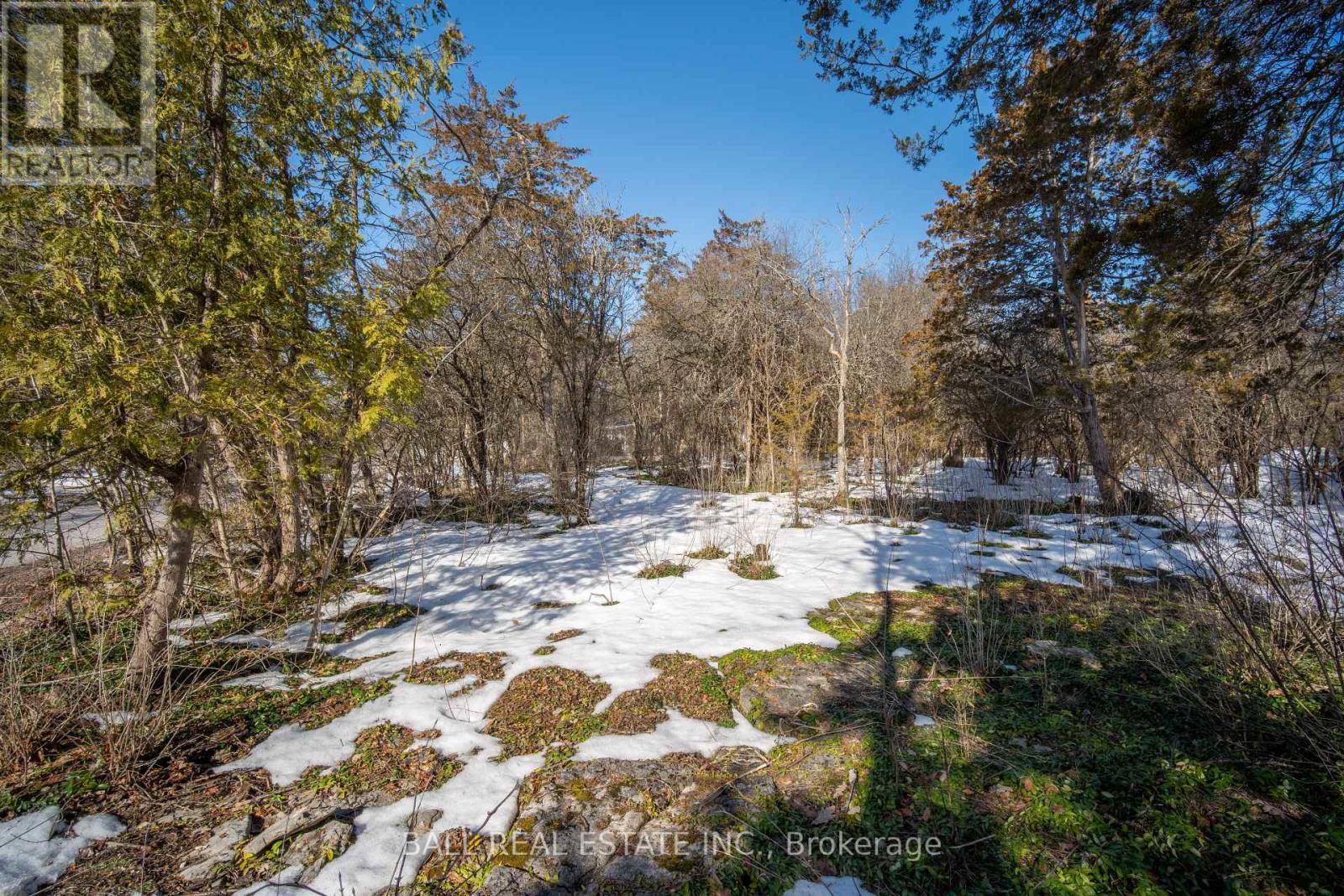 0 Snake Point Road, Kawartha Lakes (Bobcaygeon), Ontario  K0M 1A0 - Photo 7 - X12026892