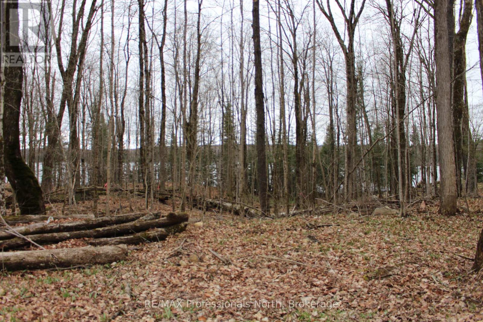 1074 Lowbank Drive S, Highlands East, Ontario  K0L 2Y0 - Photo 5 - X12142551