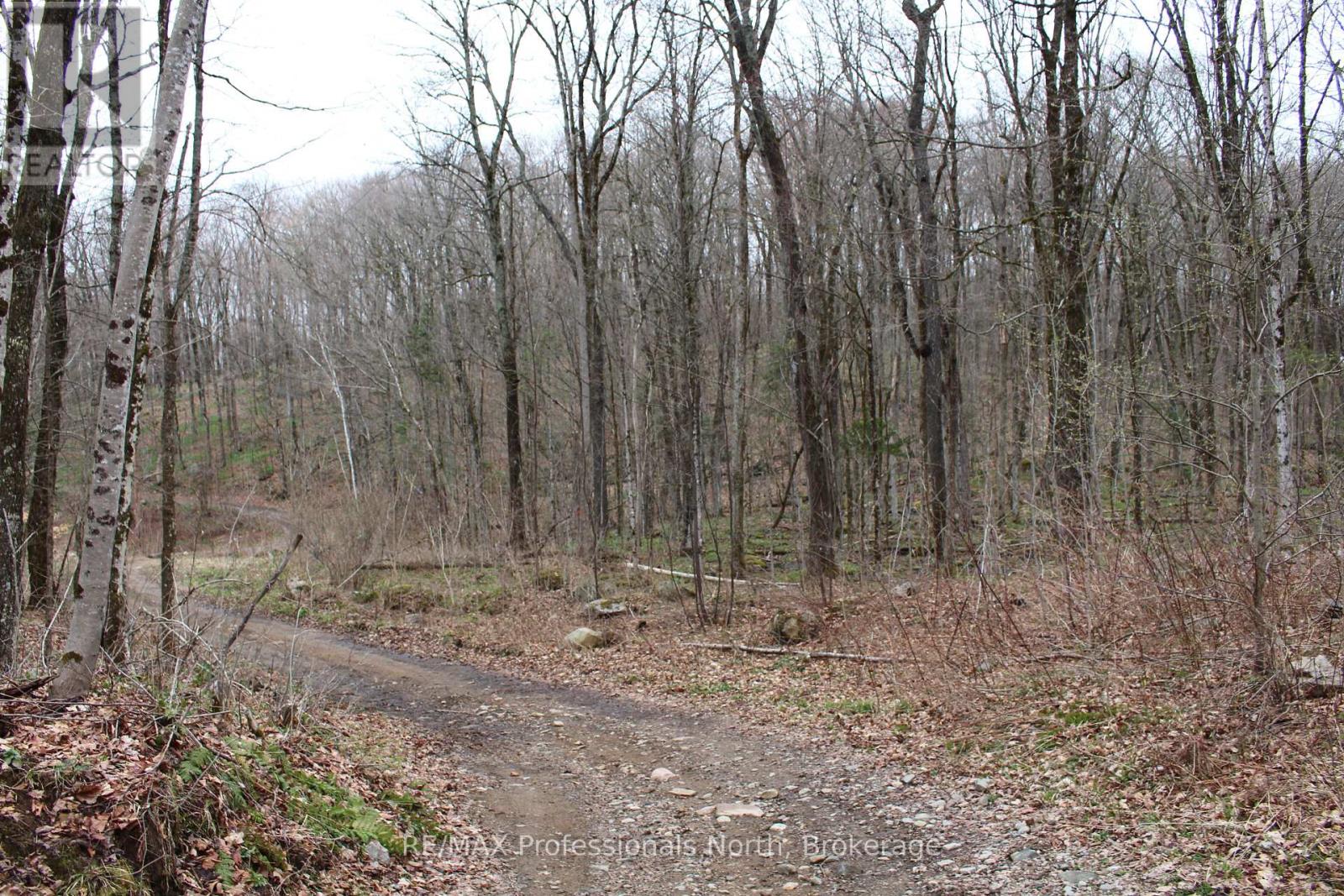 1074 Lowbank Drive S, Highlands East, Ontario  K0L 2Y0 - Photo 12 - X12142551