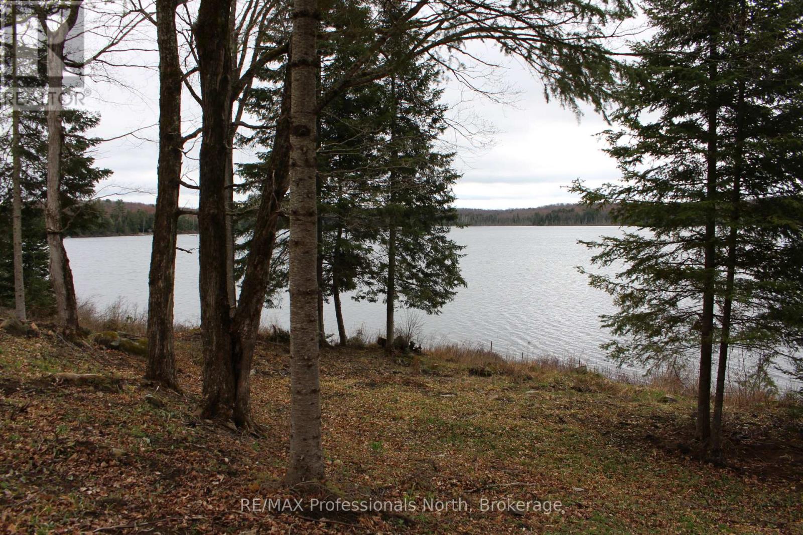 1074 Lowbank Drive S, Highlands East, Ontario  K0L 2Y0 - Photo 7 - X12142551