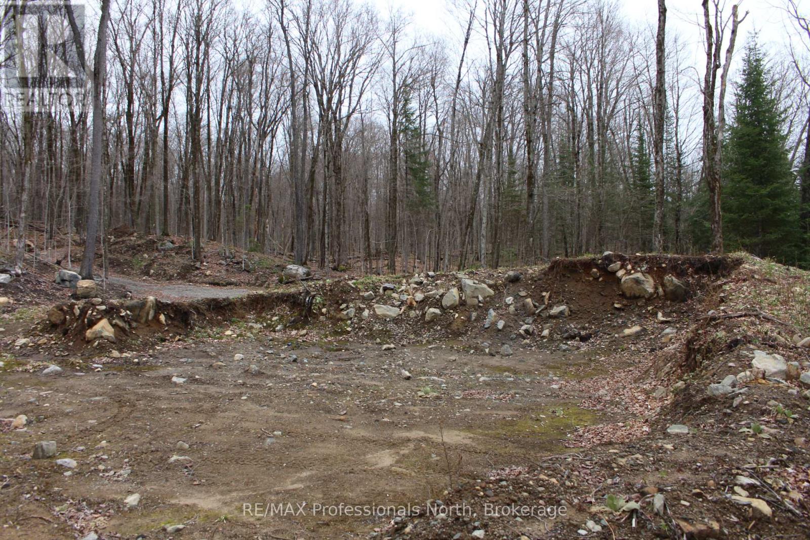 1074 Lowbank Drive S, Highlands East, Ontario  K0L 2Y0 - Photo 9 - X12142551