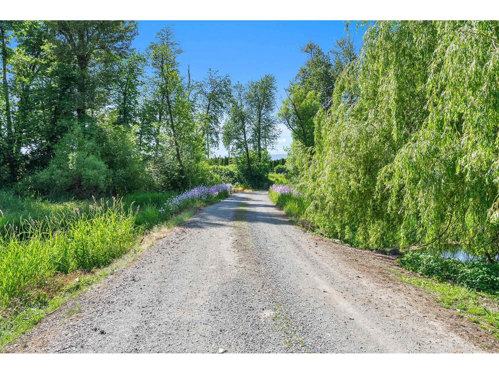 49585 Camp River Road, Rosedale, Chilliwack, British Columbia  V2P 6H4 - Photo 8 - R2981656