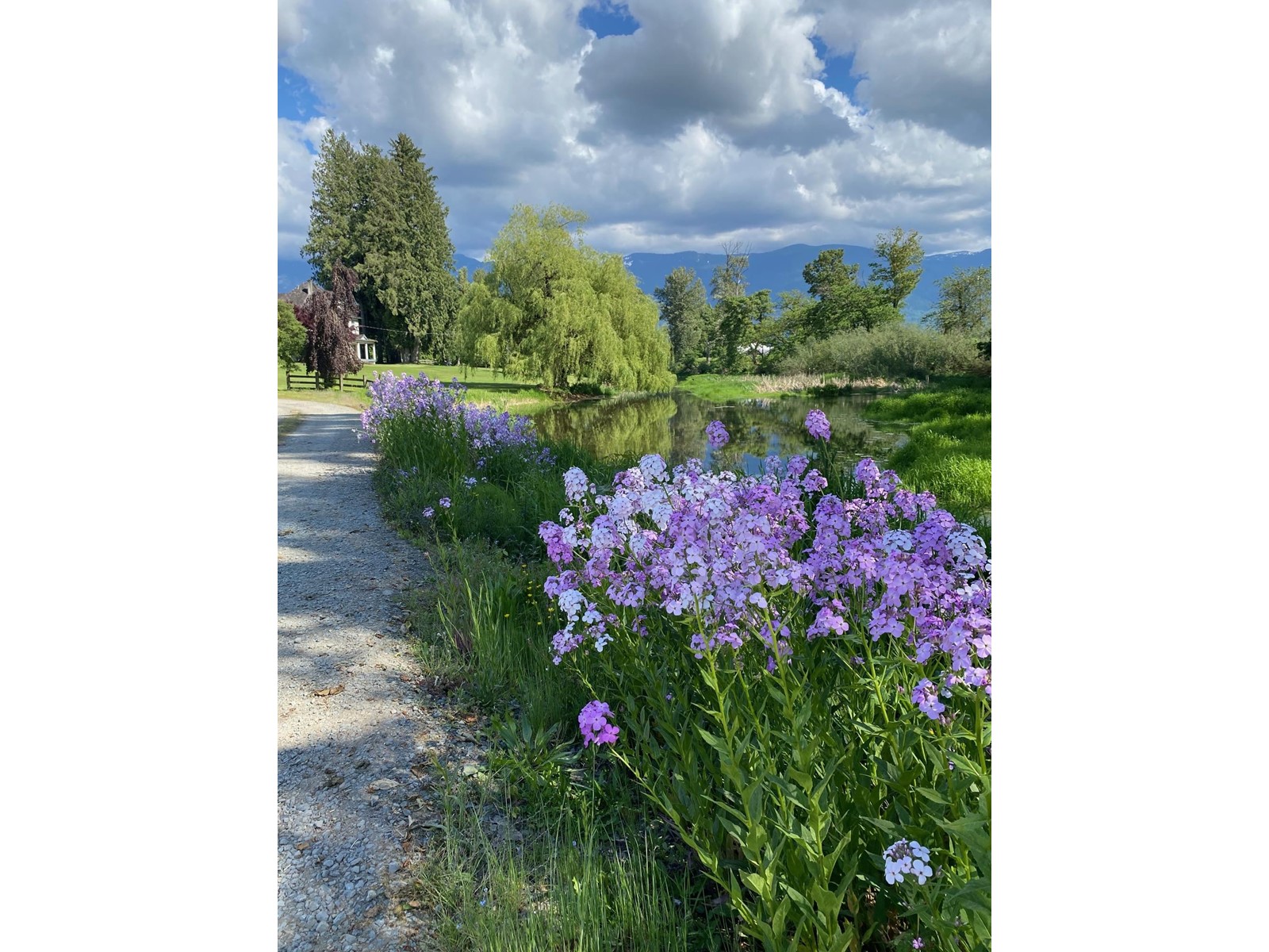 49585 Camp River Road, Rosedale, Chilliwack, British Columbia  V2P 6H4 - Photo 39 - R2981656