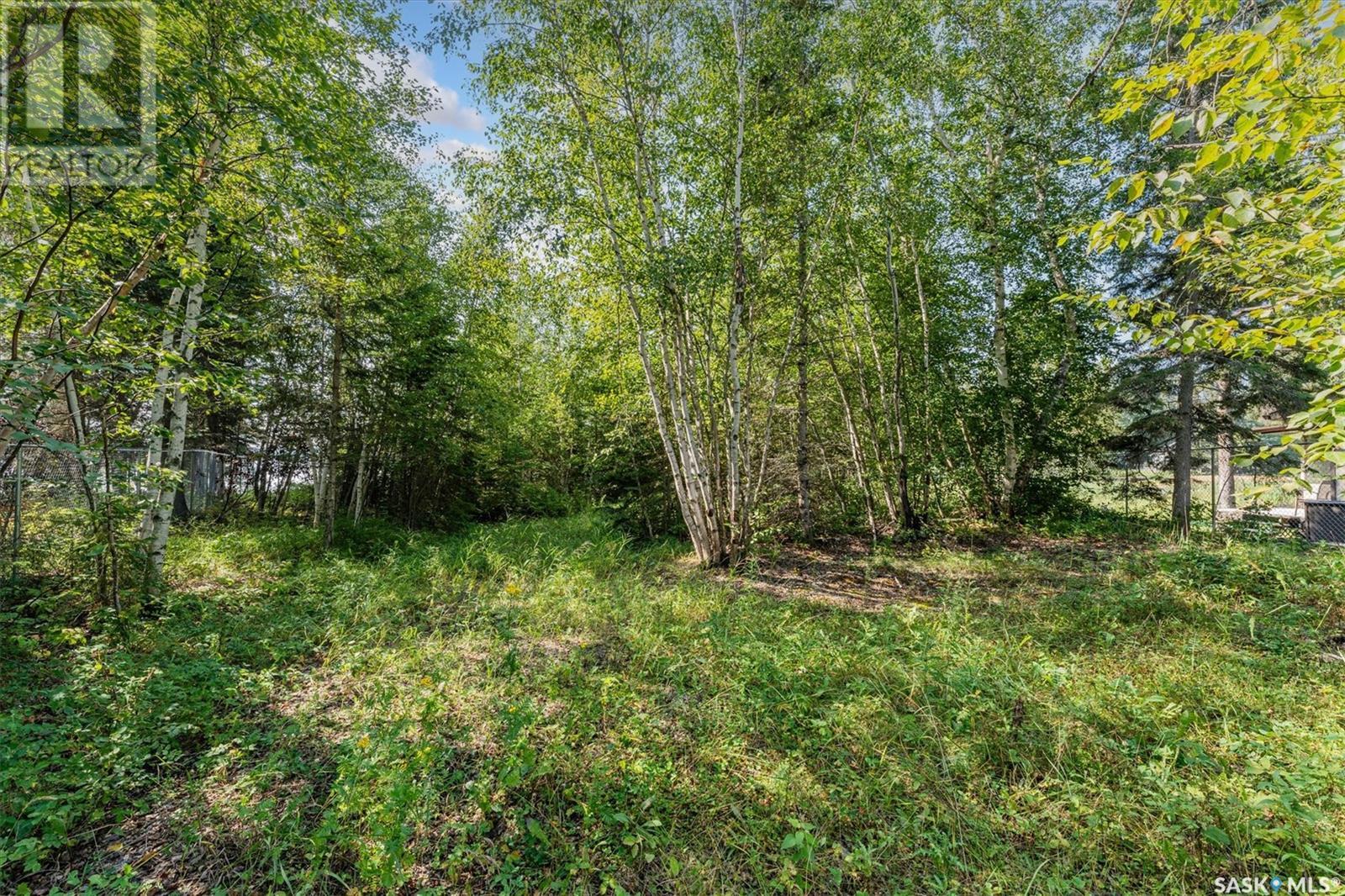 131 Jean Bay, Lakeland Rm No. 521, Saskatchewan  S0J 0N0 - Photo 8 - SK007643