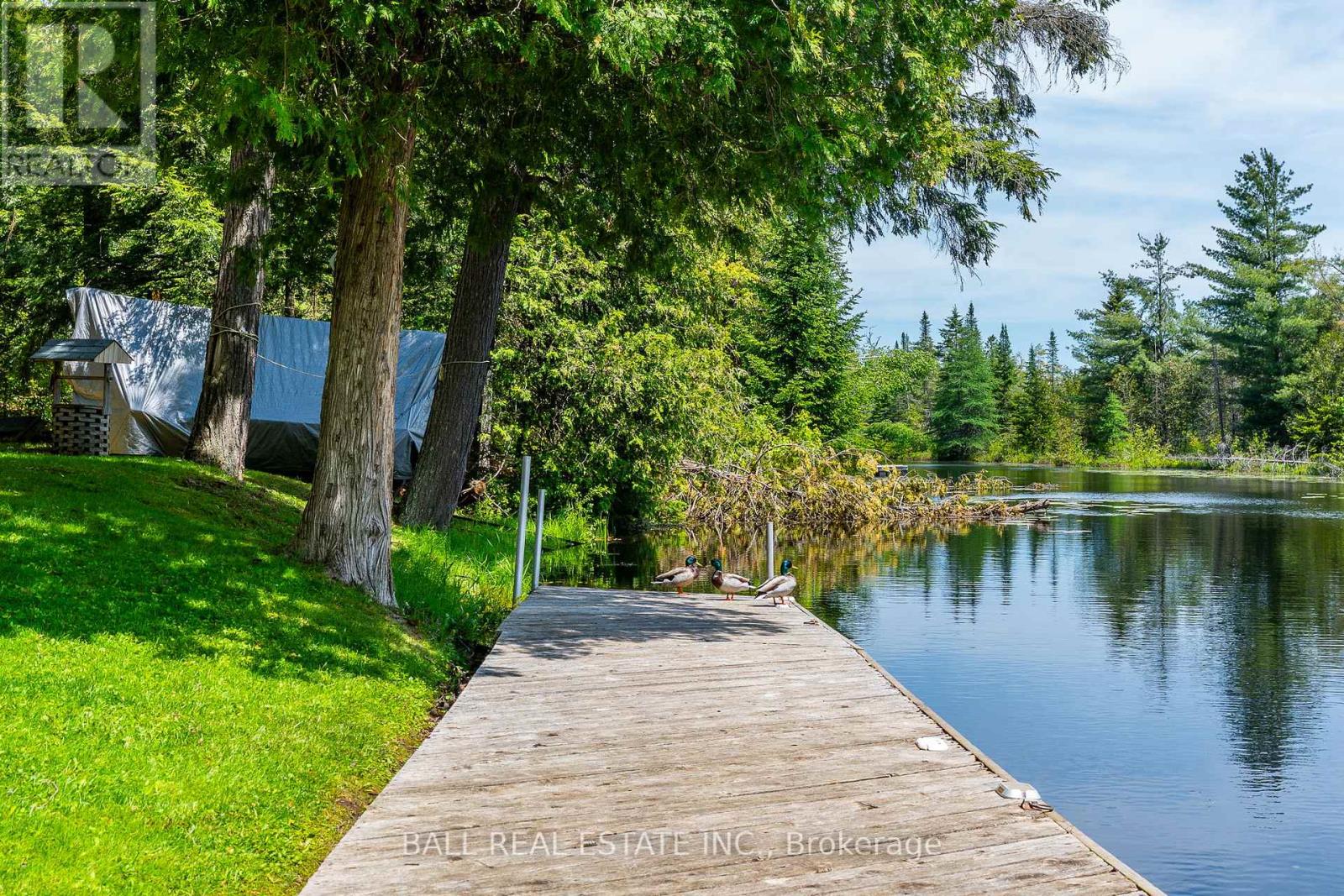 73 Sunset Court, Trent Lakes, Ontario  K0M 1A0 - Photo 37 - X12182571