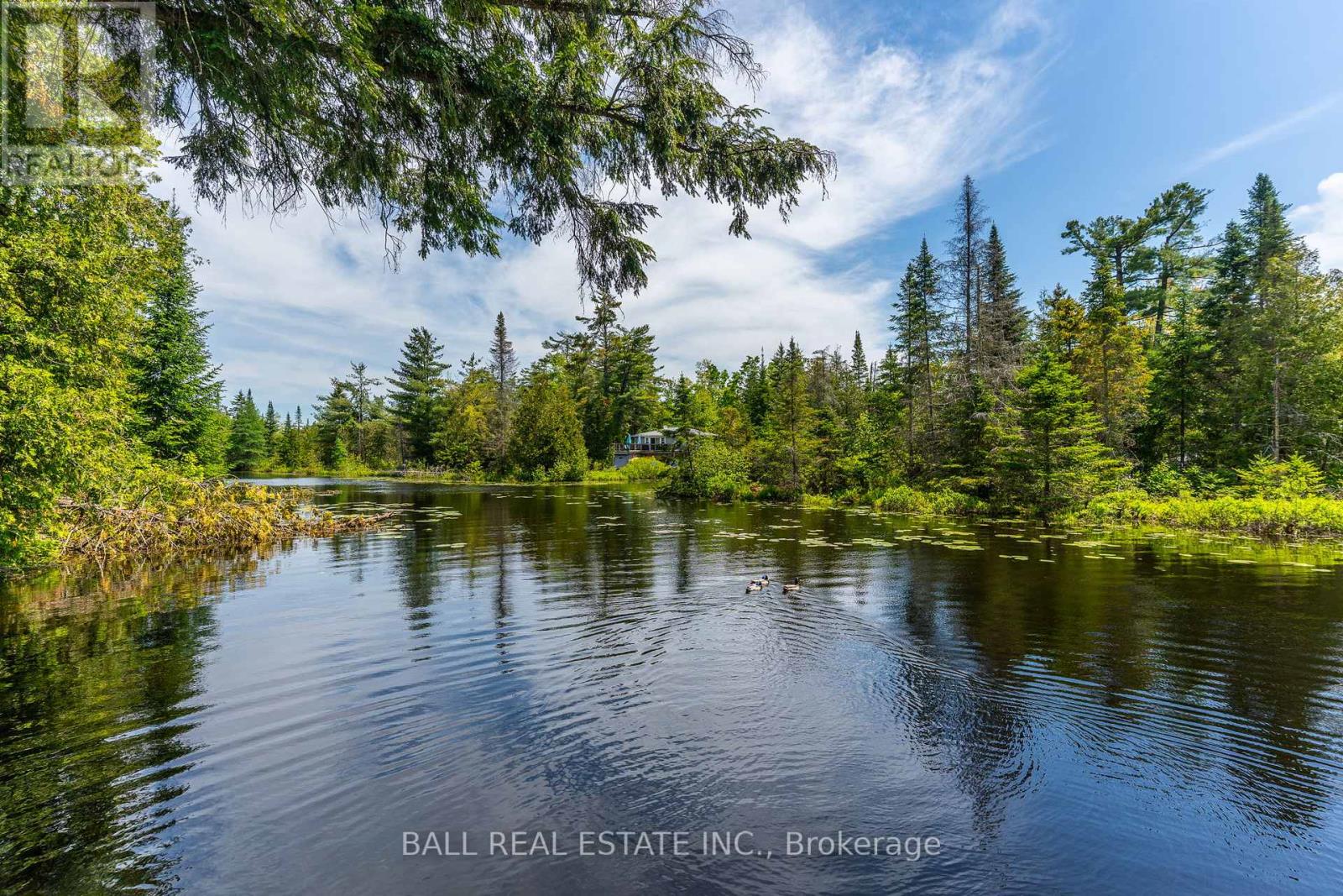 73 Sunset Court, Trent Lakes, Ontario  K0M 1A0 - Photo 38 - X12182571