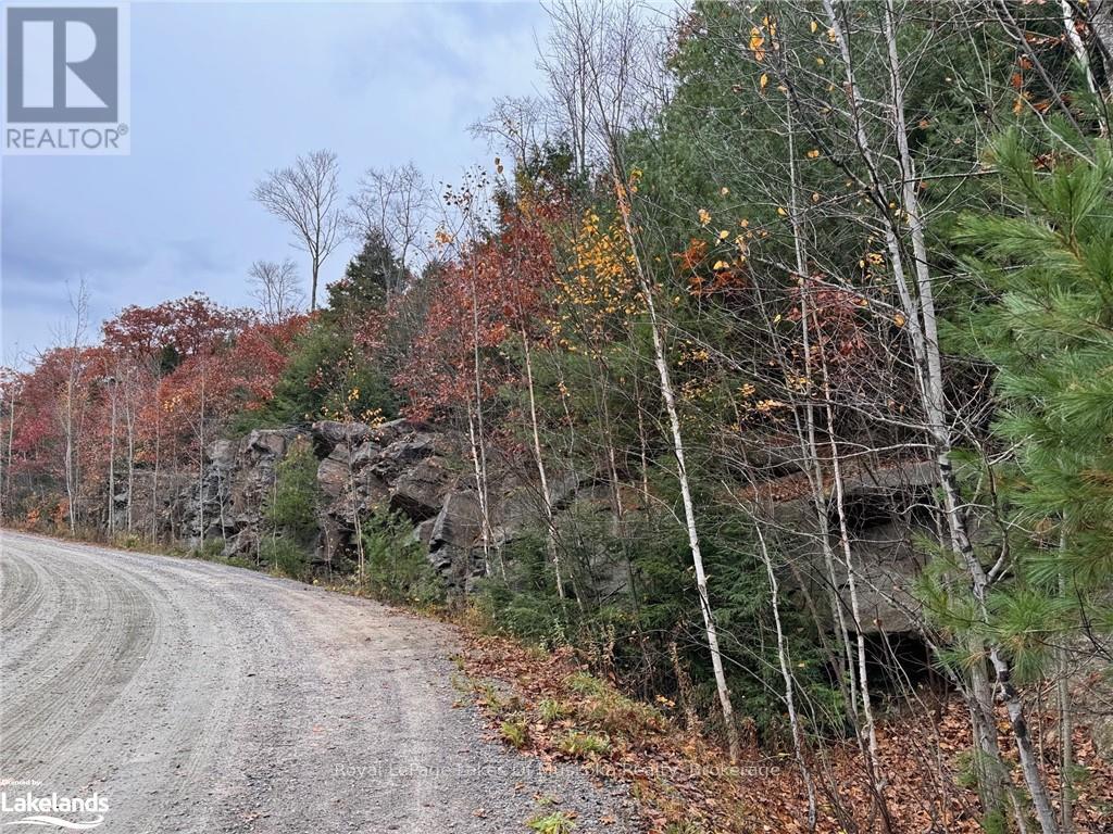 0 Latvian Road, Bracebridge, Ontario  P1L 0A1 - Photo 8 - X12182567
