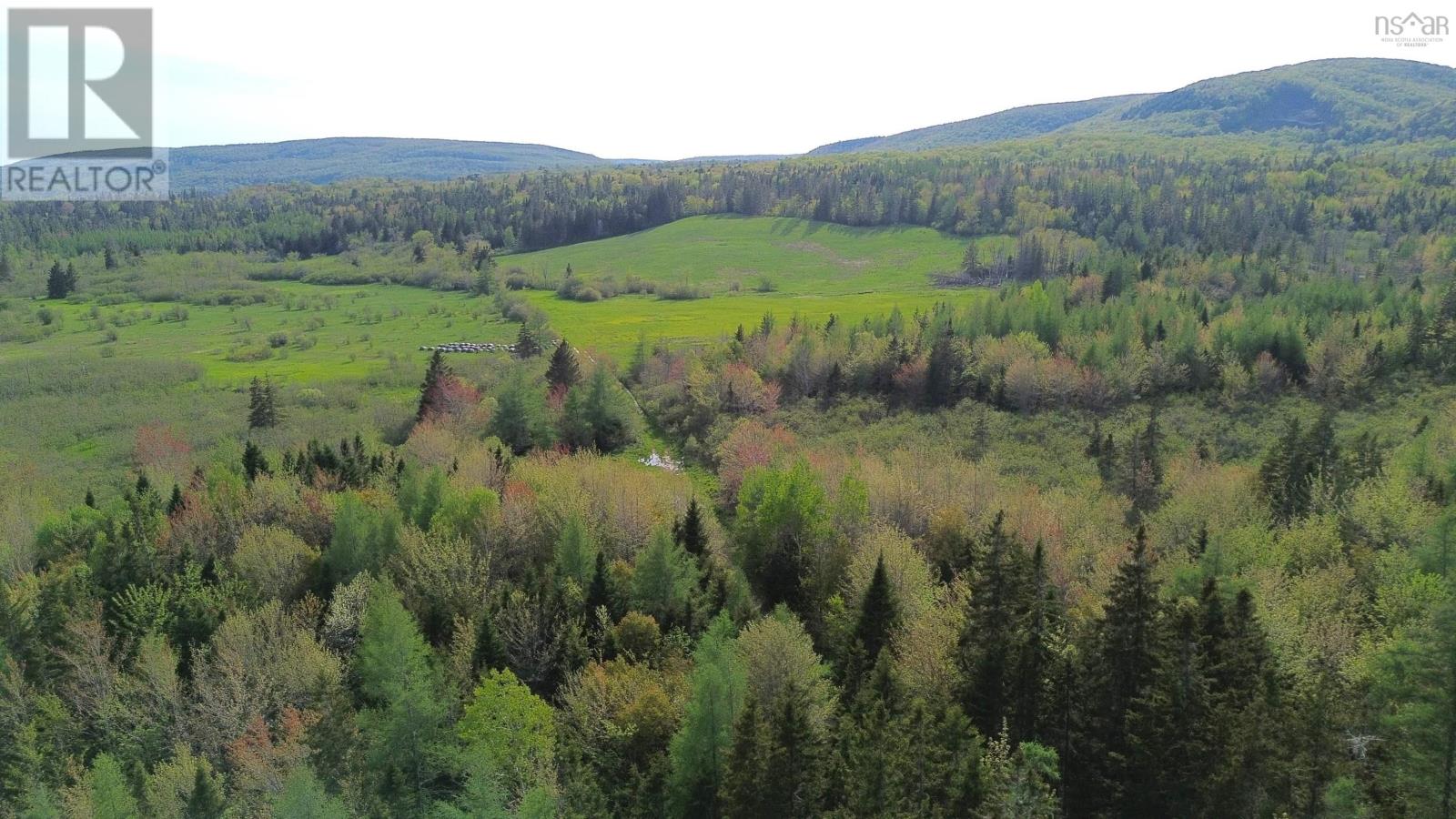 Melford Road (Old), River Denys, Nova Scotia  B0E 2Y0 - Photo 11 - 202502735