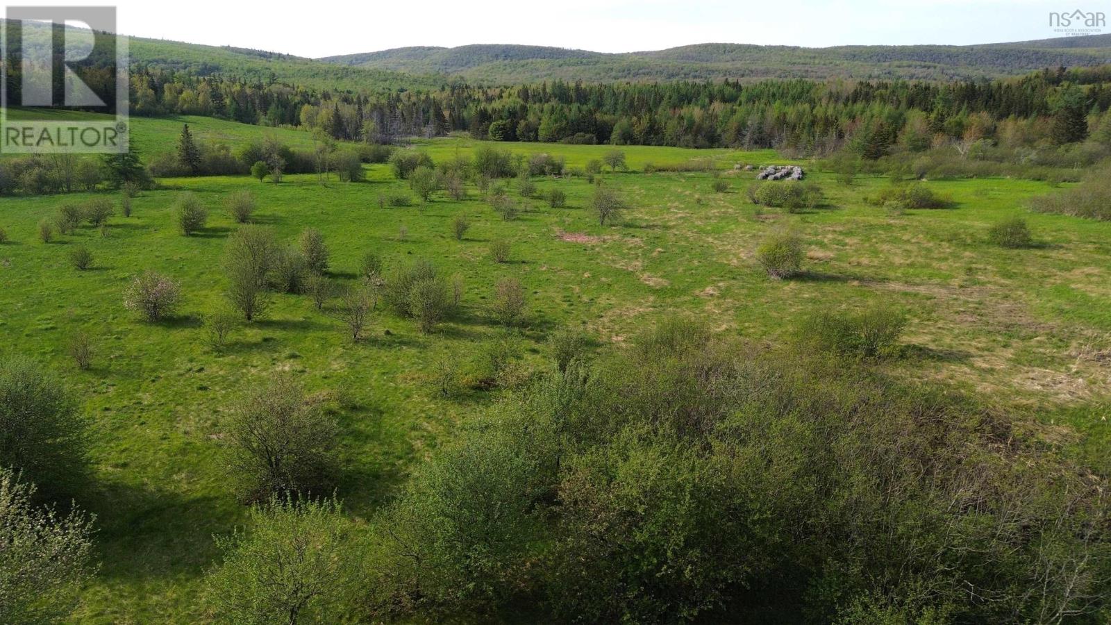 Melford Road (Old), River Denys, Nova Scotia  B0E 2Y0 - Photo 15 - 202502735