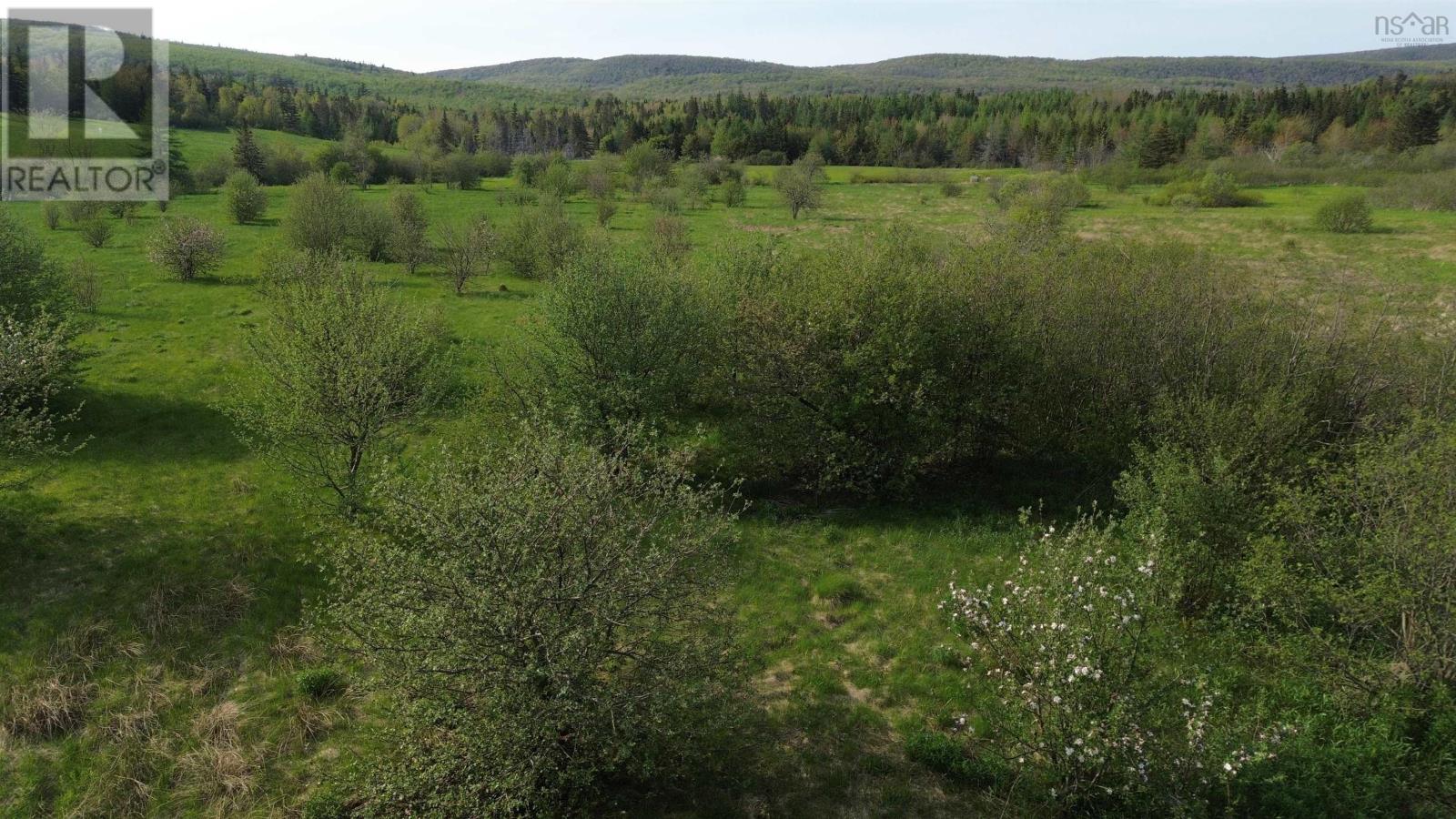 Melford Road (Old), River Denys, Nova Scotia  B0E 2Y0 - Photo 17 - 202502735