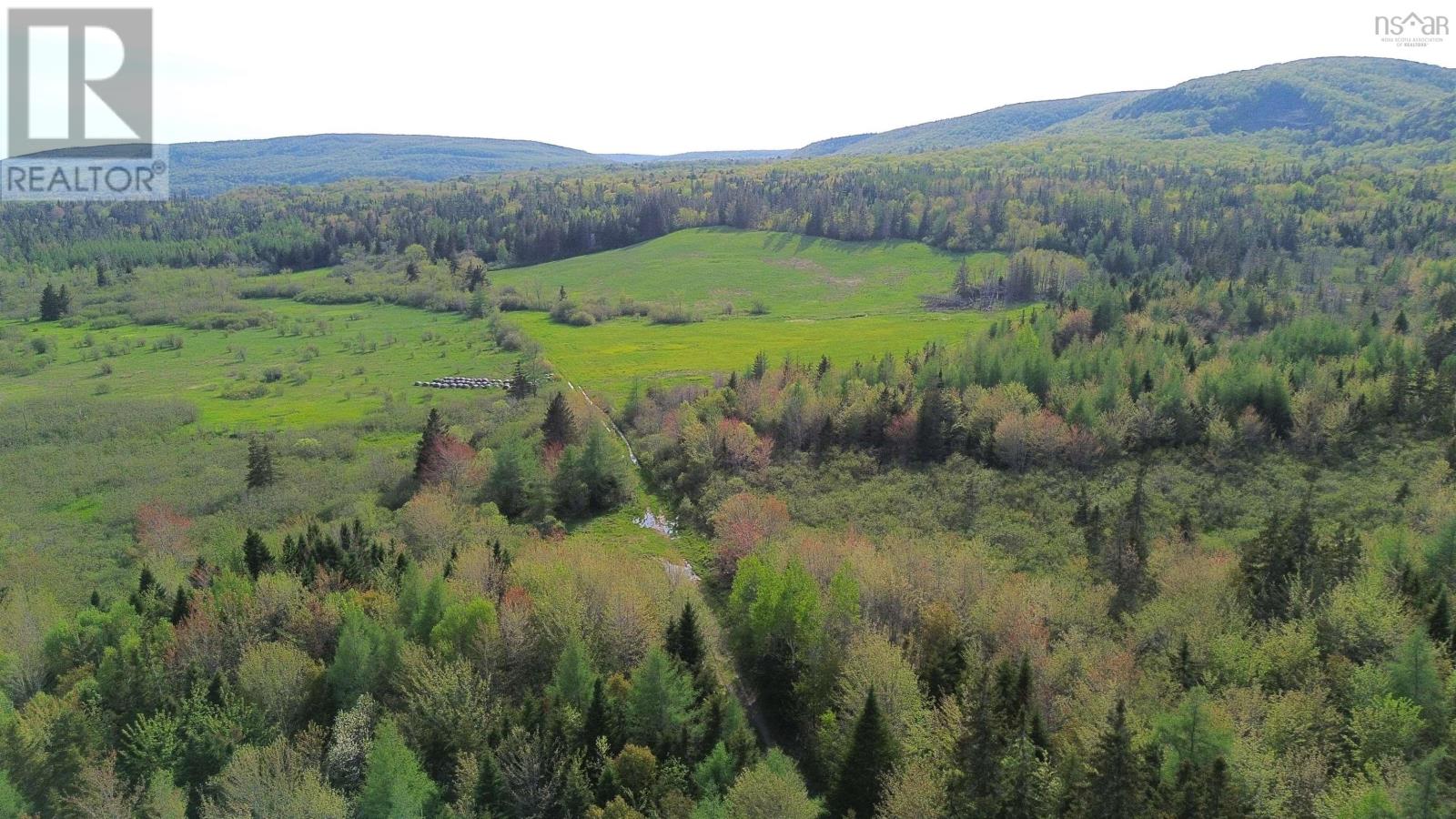 Melford Road (Old), River Denys, Nova Scotia  B0E 2Y0 - Photo 1 - 202502735