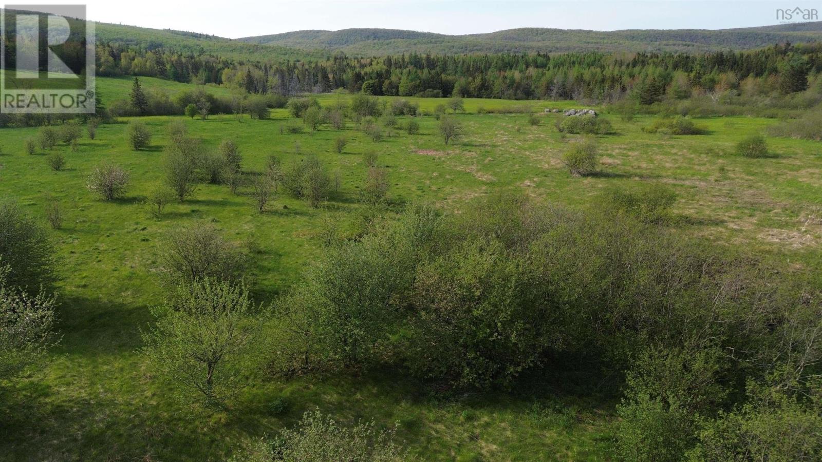 Melford Road (Old), River Denys, Nova Scotia  B0E 2Y0 - Photo 16 - 202502735