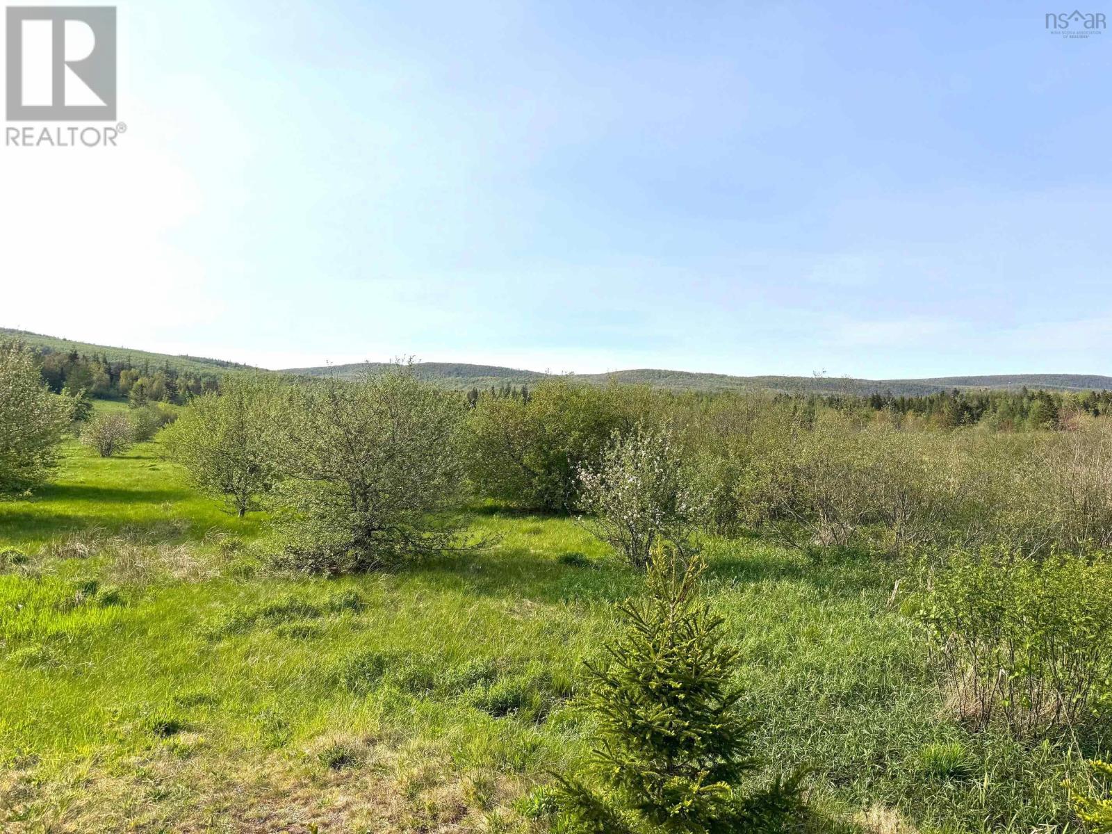 Melford Road (Old), River Denys, Nova Scotia  B0E 2Y0 - Photo 19 - 202502735