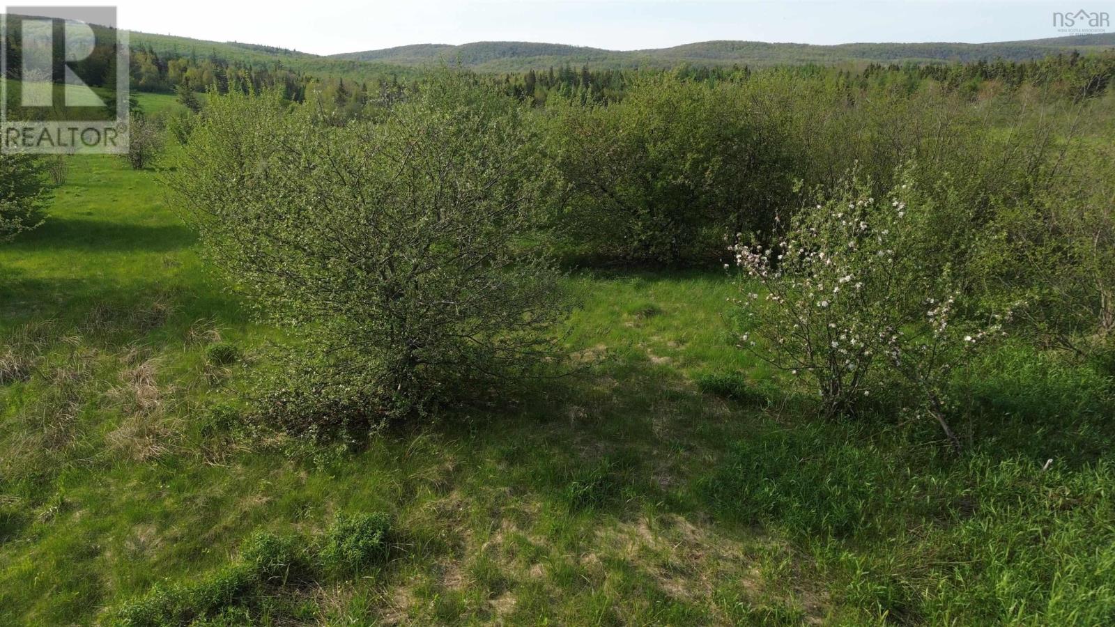 Melford Road (Old), River Denys, Nova Scotia  B0E 2Y0 - Photo 18 - 202502735