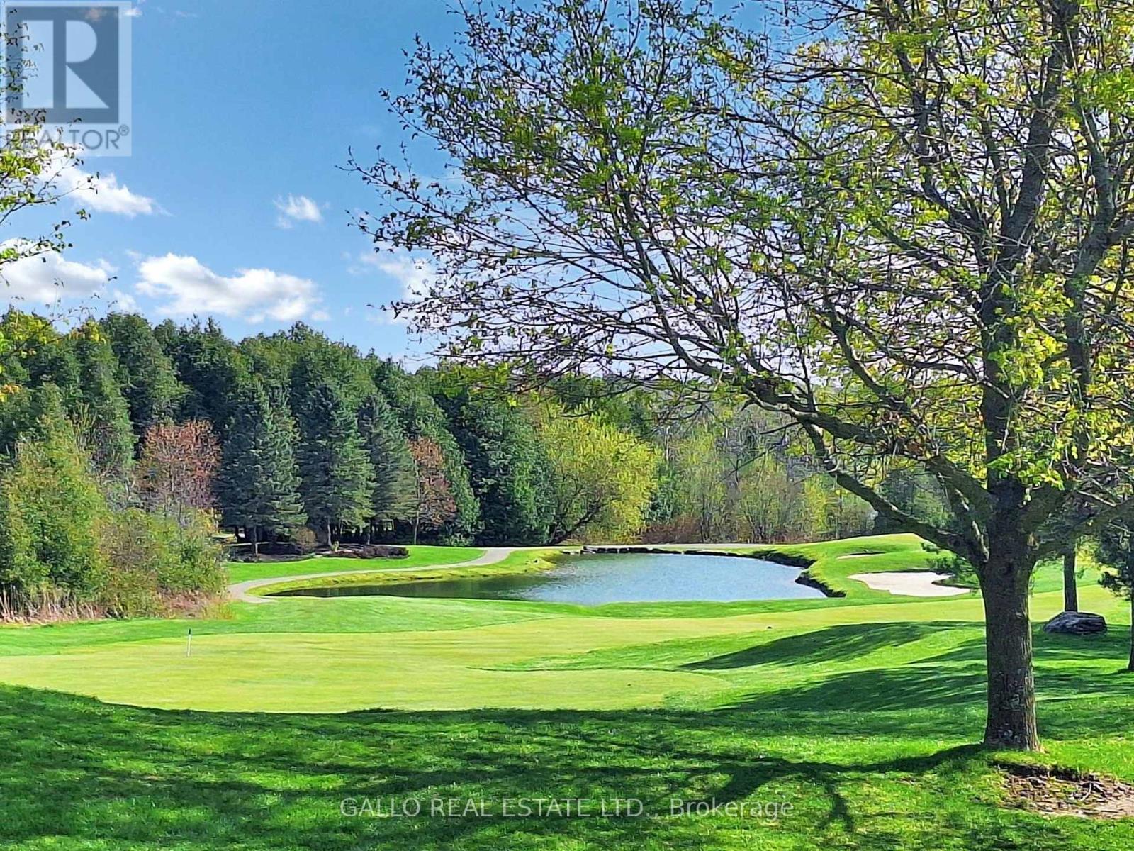 15 Hill Top Trail, Whitchurch-Stouffville, Ontario  L4A 7X4 - Photo 46 - N12182663