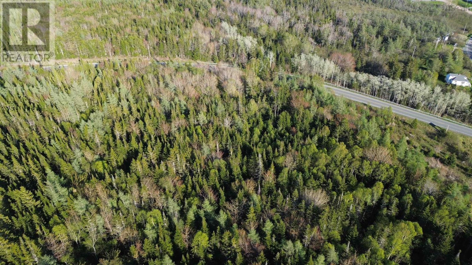 4 Old Trail, Old Trunk 4, Grande Anse, Nova Scotia  B0E 1V0 - Photo 11 - 202506664