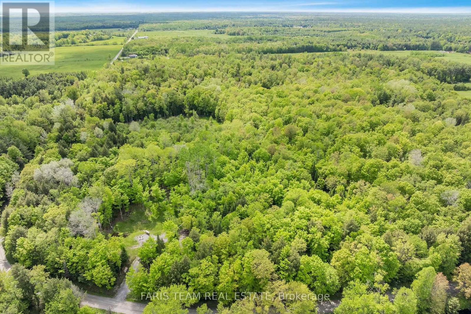 7950 Kings River Road, Ramara, Ontario  L0K 2B0 - Photo 2 - S12182660