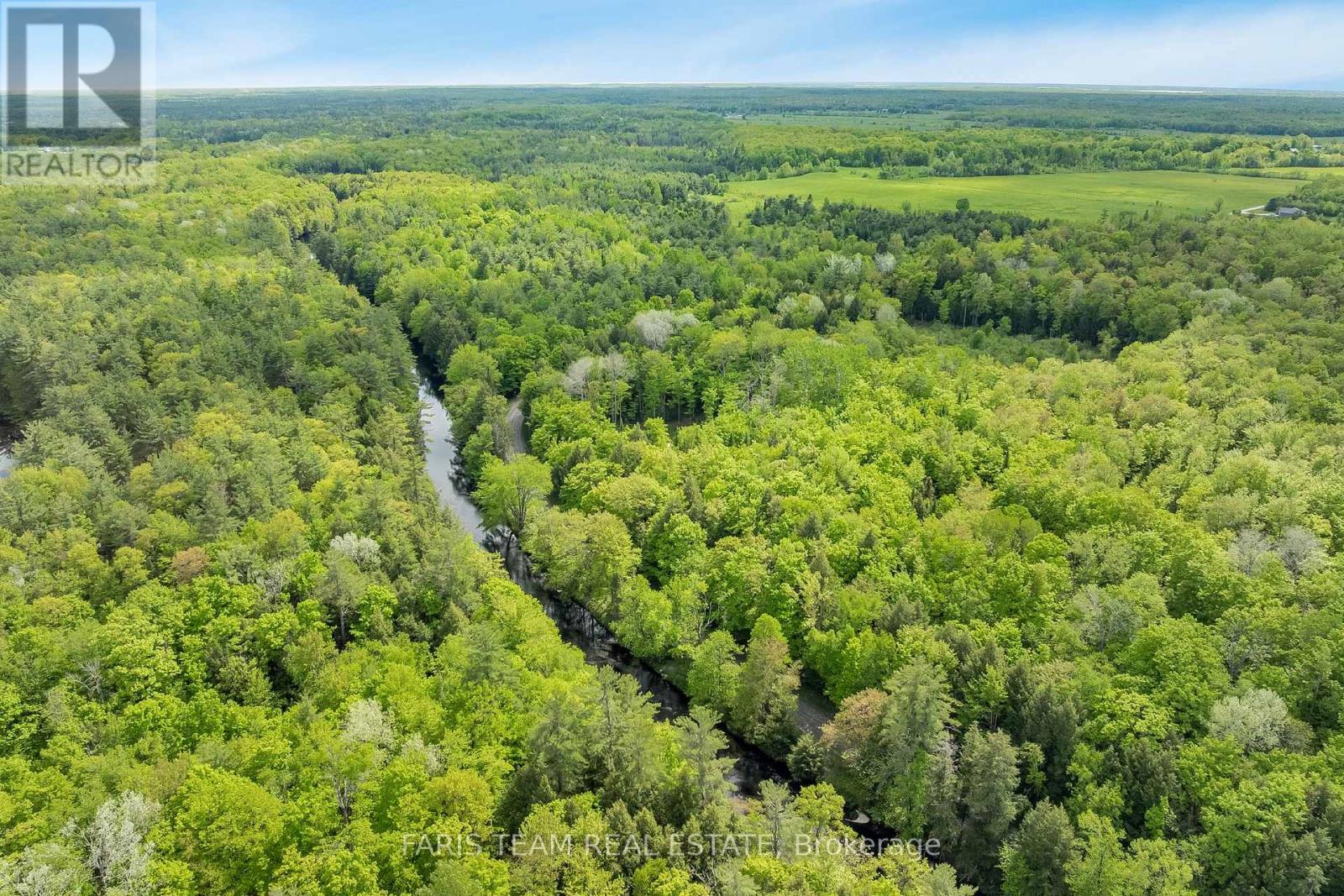 7950 Kings River Road, Ramara, Ontario  L0K 2B0 - Photo 3 - S12182660