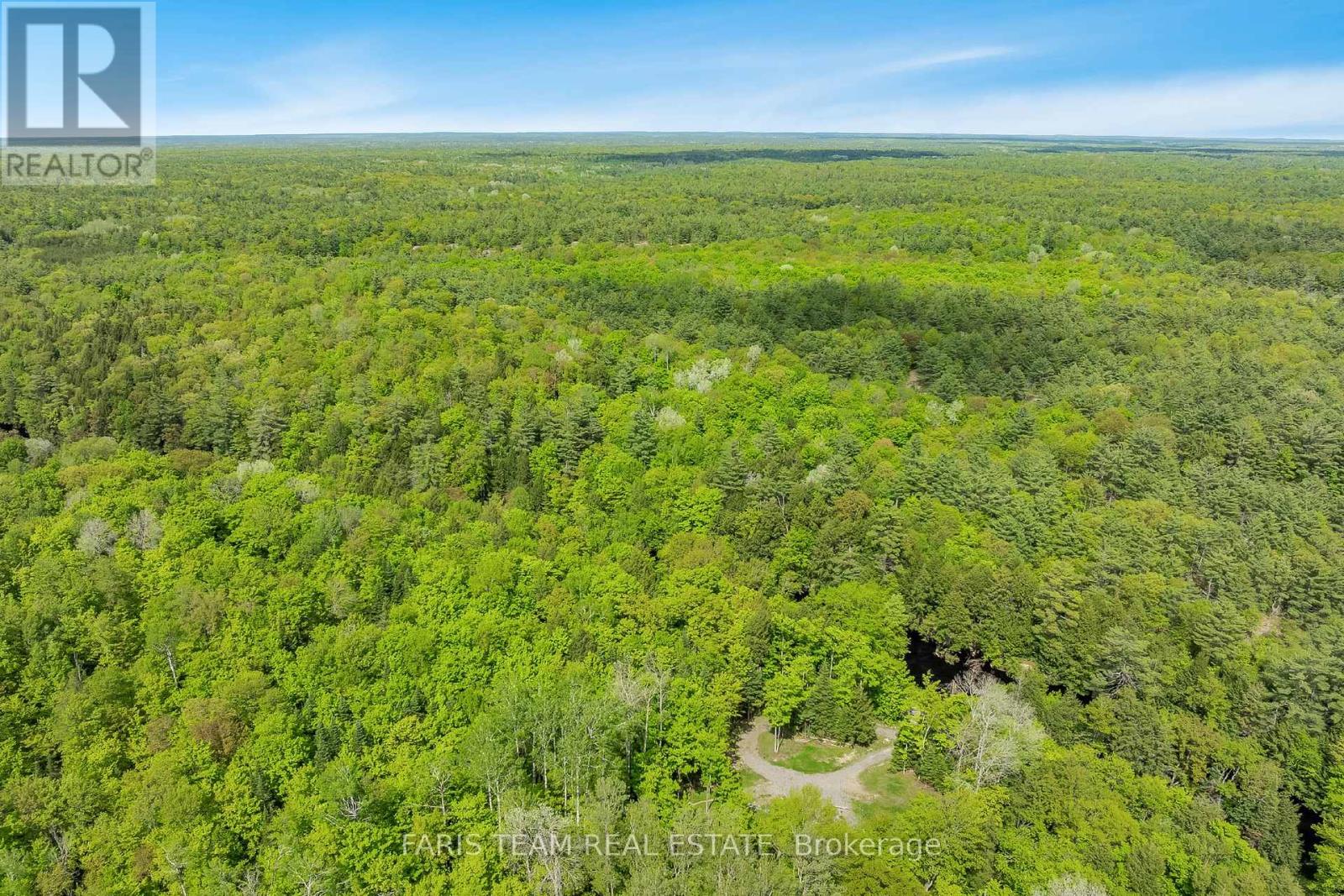 7950 Kings River Road, Ramara, Ontario  L0K 2B0 - Photo 7 - S12182660