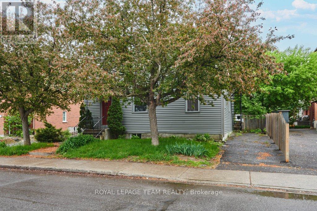 Property at 62 LAUREL STREET image 3