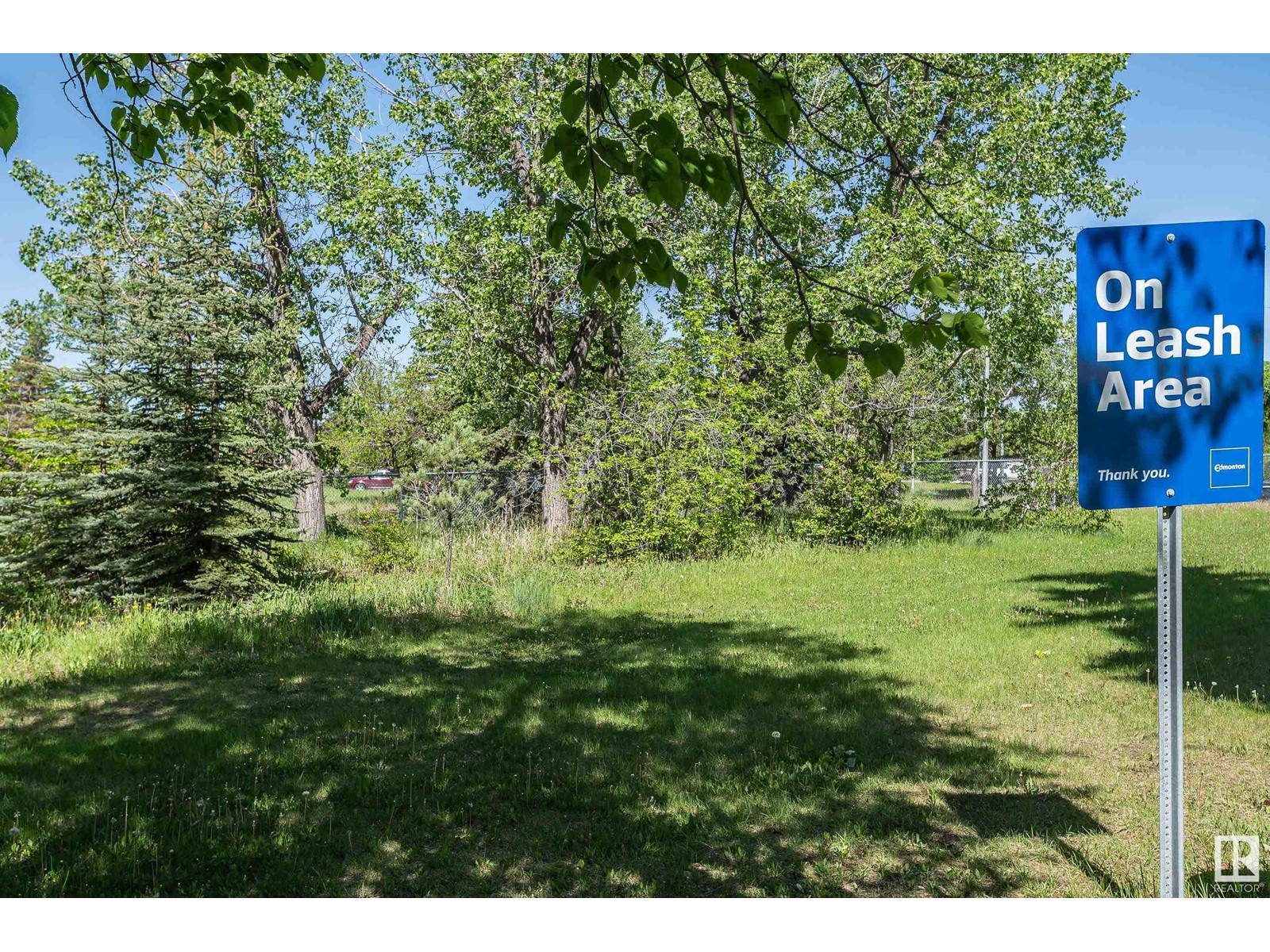 156 Laurier Dr Nw, Edmonton, Alberta  T5R 5P9 - Photo 57 - E4439277