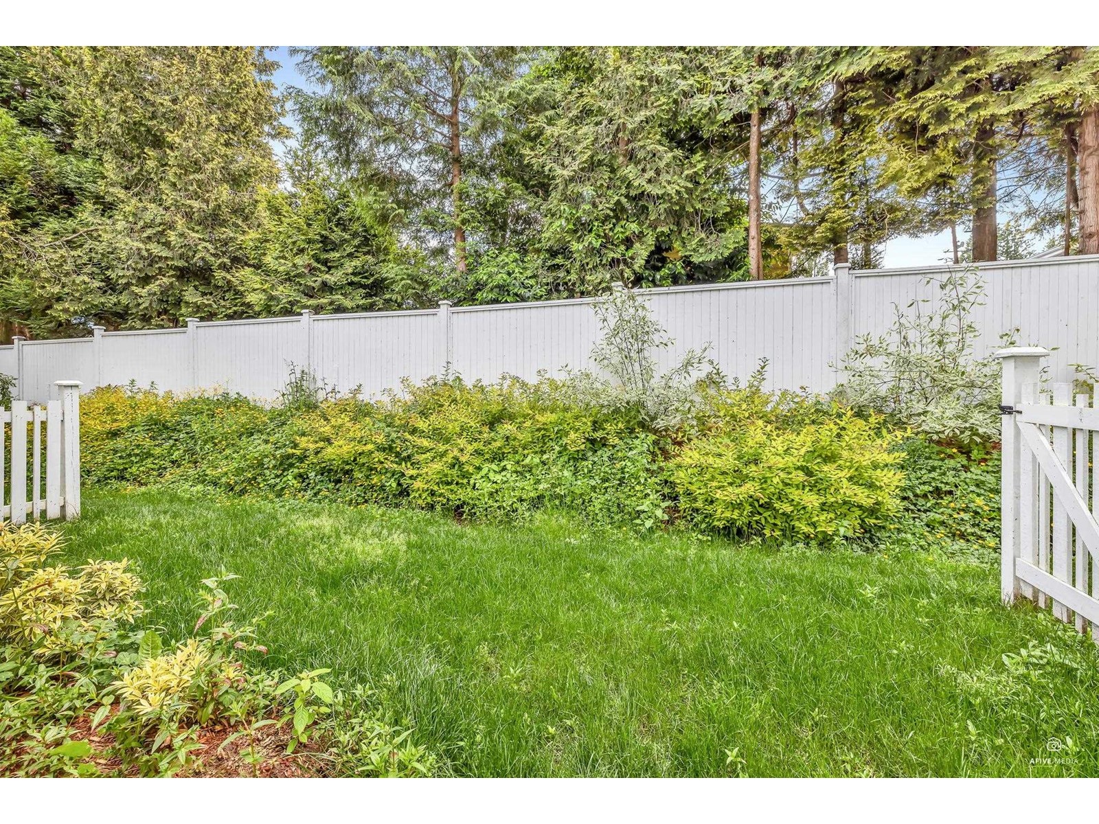24 8181 135a Street, Surrey, British Columbia  V3W 3N8 - Photo 25 - R3008905