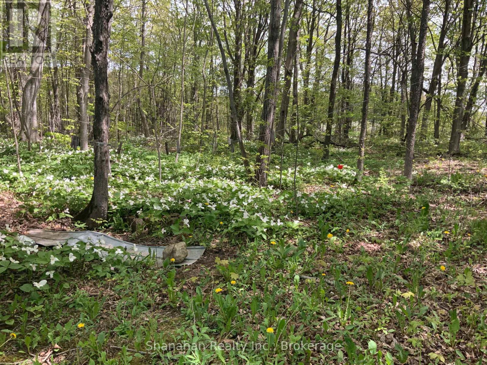 46 Maple Golf Crescent, Northern Bruce Peninsula, Ontario  N0H 2R0 - Photo 11 - X12055599