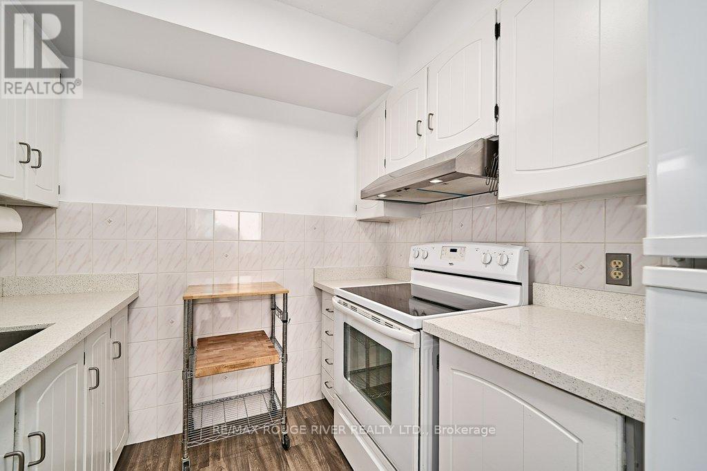 525 - 50 Richmond Street E, Oshawa, Ontario  L1G 7C7 - Photo 8 - E12183072