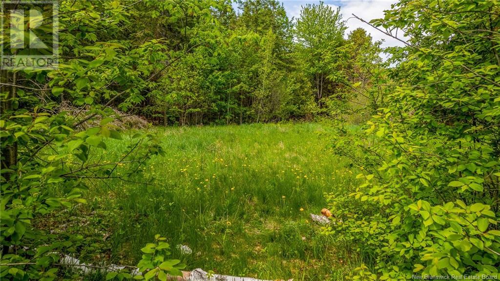 159 Pleasant Street, St. Stephen, New Brunswick  E3L 1B4 - Photo 4 - NB100622