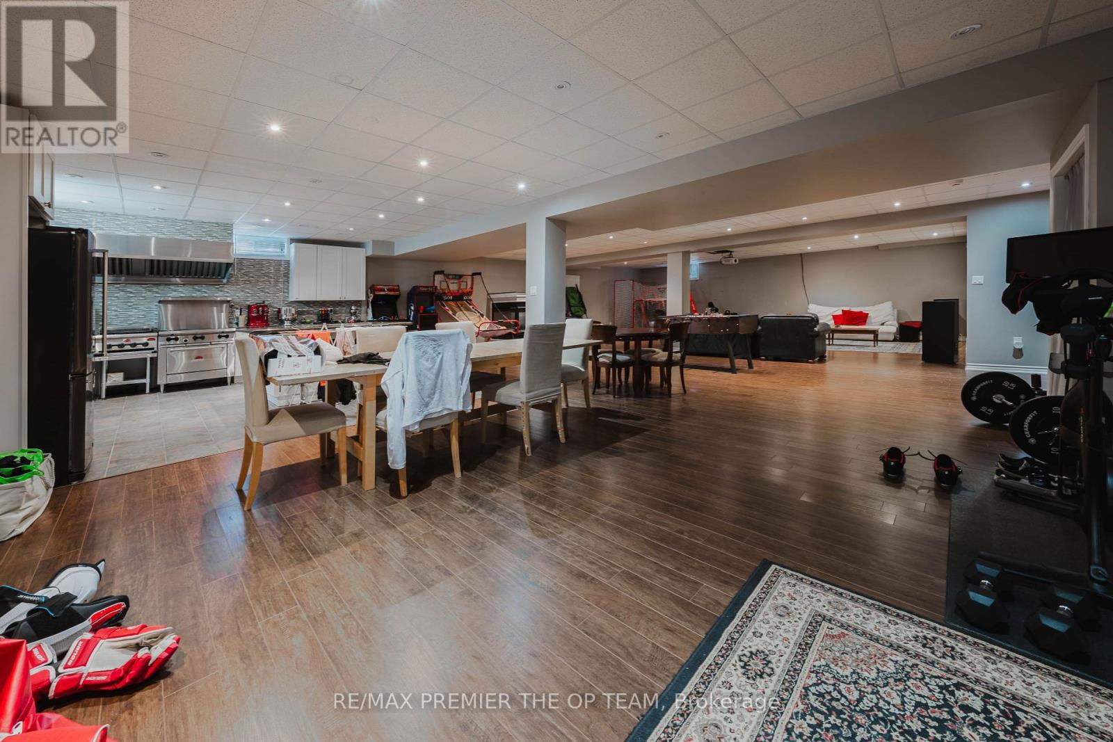 Lower - 56 Park Ridge Drive, Vaughan, Ontario  L0J 1C0 - Photo 3 - N12182997
