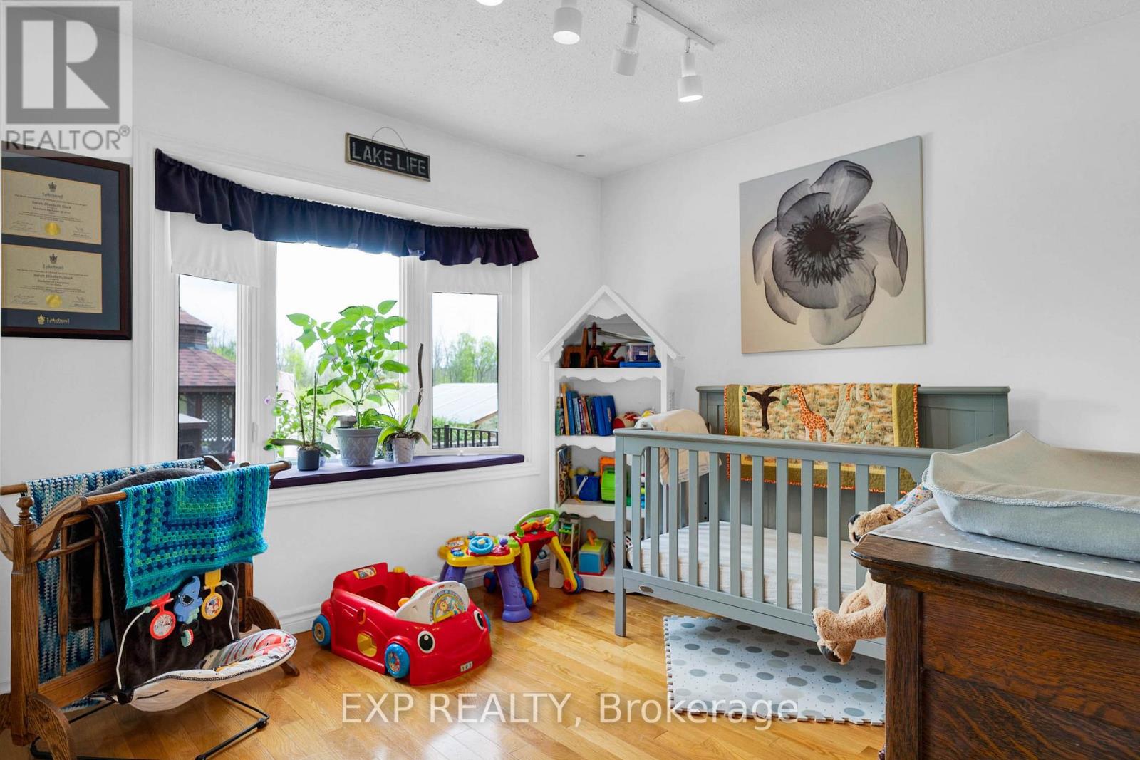 233 Sand Road, East Gwillimbury, Ontario  L9N 1K1 - Photo 18 - N12183033