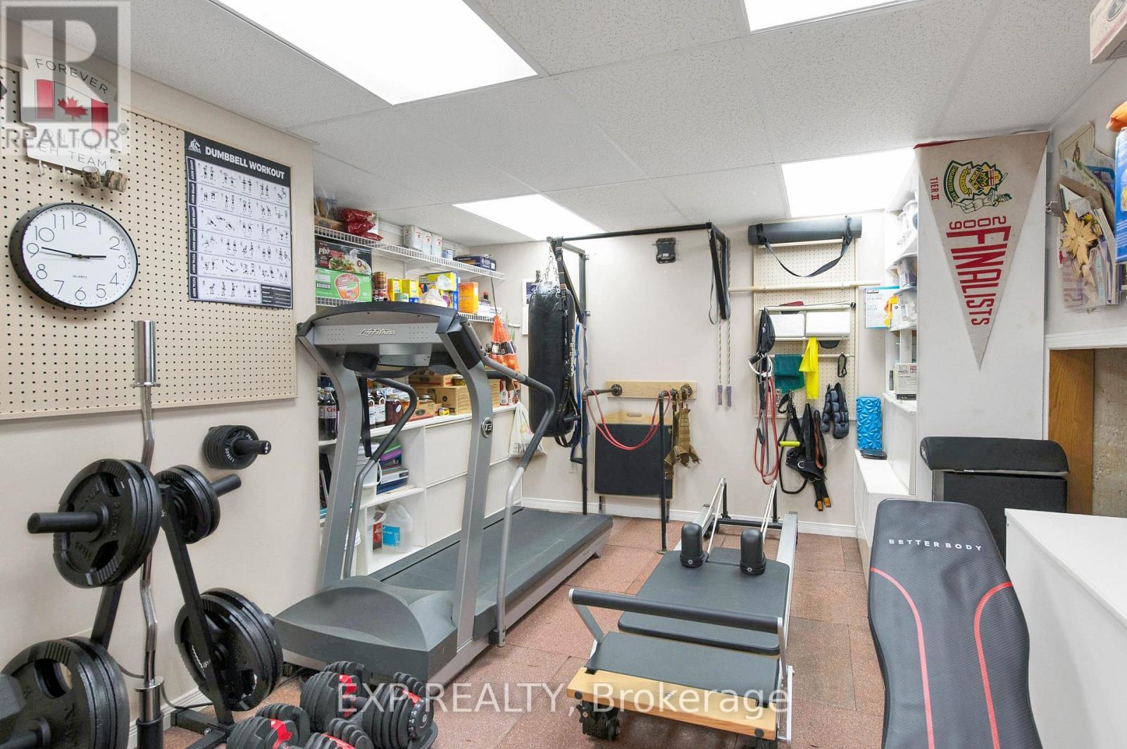 233 Sand Road, East Gwillimbury, Ontario  L9N 1K1 - Photo 29 - N12183033