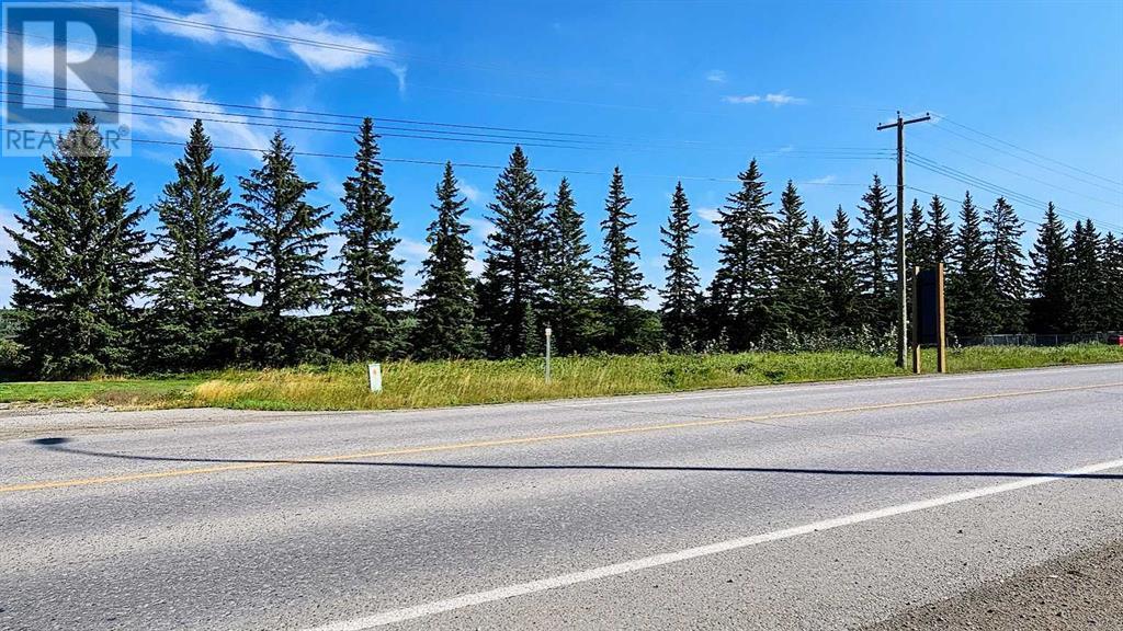 716 Main Avenue W, Sundre, Alberta  T0M 1X0 - Photo 13 - A2160129
