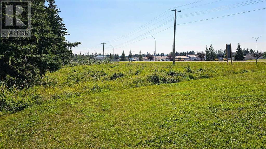 716 Main Avenue W, Sundre, Alberta  T0M 1X0 - Photo 4 - A2160129