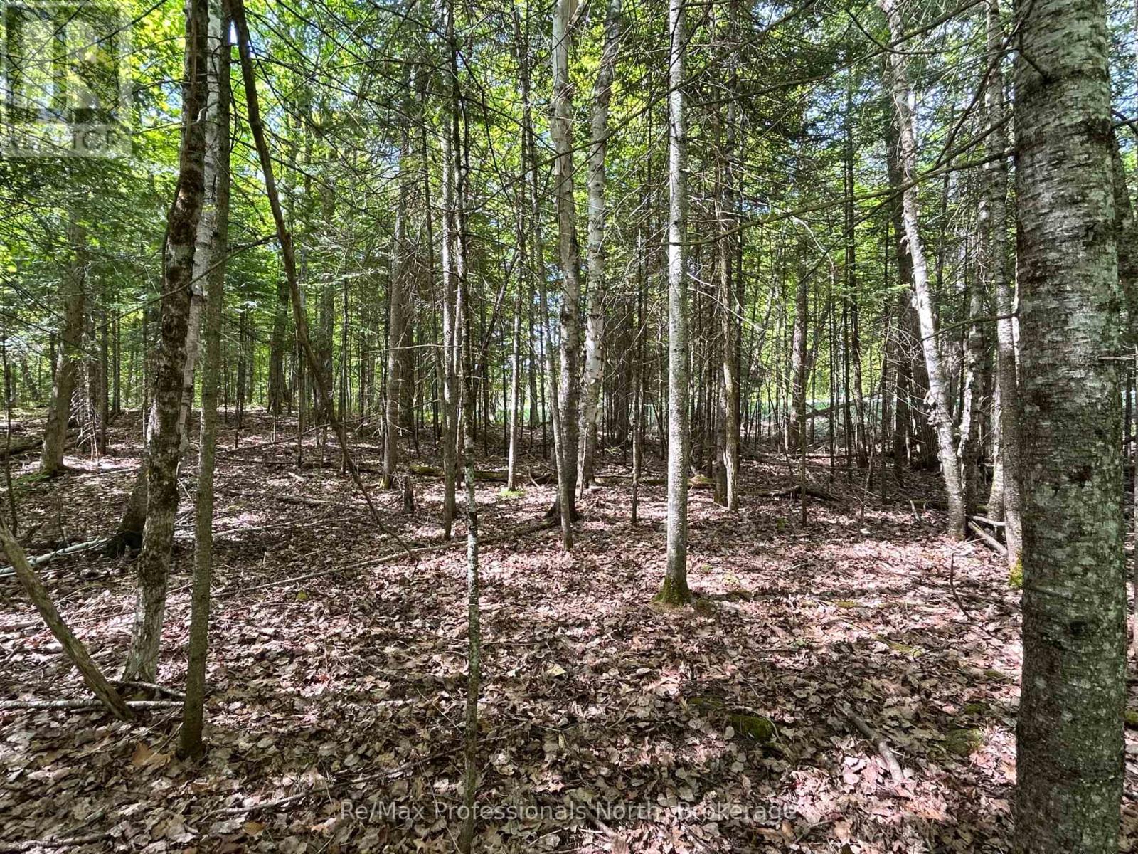 0 Sharon Lake Drive, Minden Hills, Ontario  K0M 2K0 - Photo 2 - X11884627