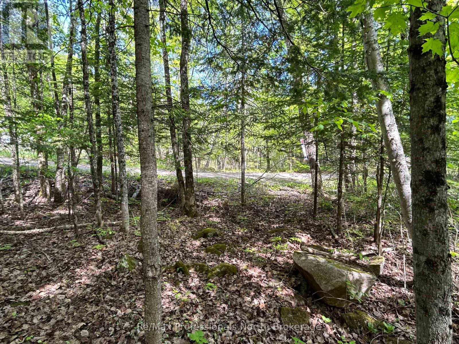 0 Sharon Lake Drive, Minden Hills, Ontario  K0M 2K0 - Photo 3 - X11884627