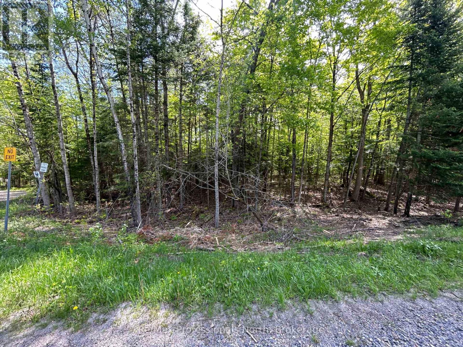 0 Sharon Lake Drive, Minden Hills, Ontario  K0M 2K0 - Photo 9 - X11884627