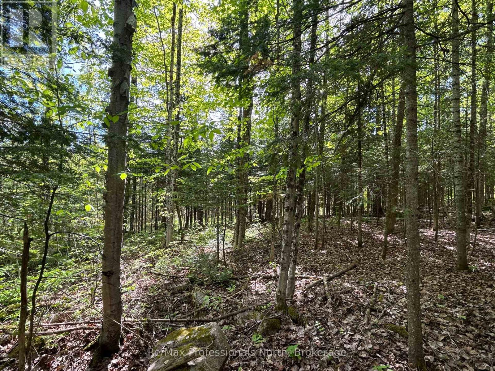 0 Sharon Lake Drive, Minden Hills, Ontario  K0M 2K0 - Photo 6 - X11884627