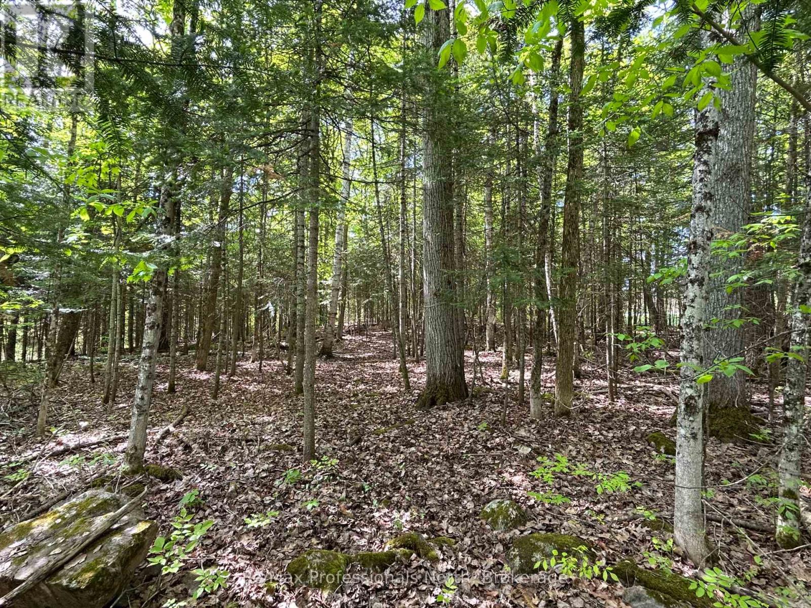 0 Sharon Lake Drive, Minden Hills, Ontario  K0M 2K0 - Photo 7 - X11884627
