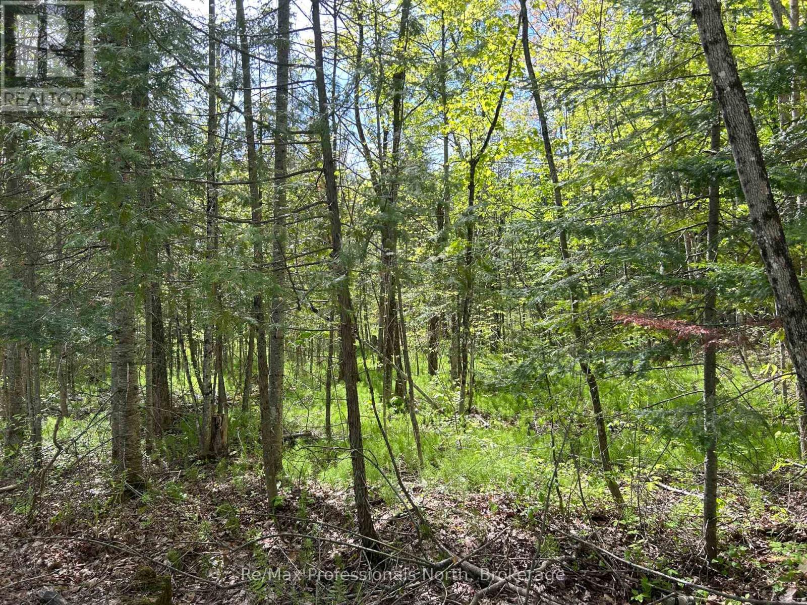 0 Sharon Lake Drive, Minden Hills, Ontario  K0M 2K0 - Photo 4 - X11884627