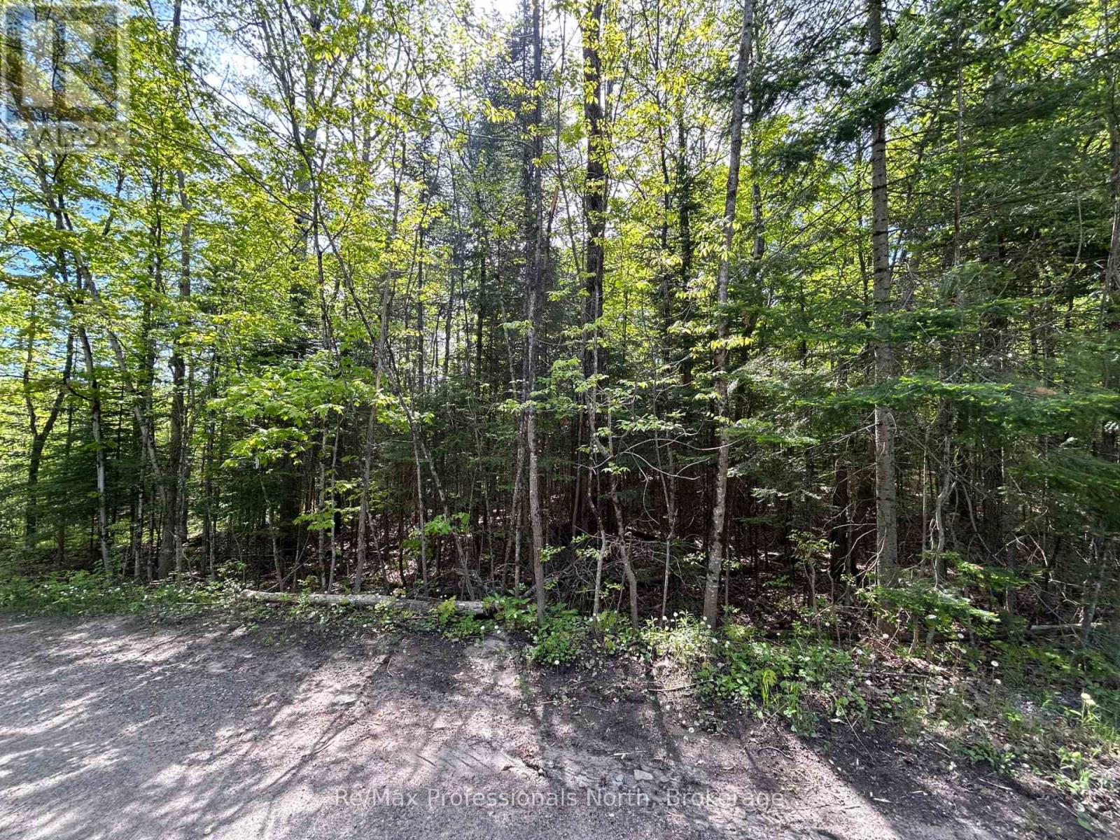 0 Sharon Lake Drive, Minden Hills, Ontario  K0M 2K0 - Photo 8 - X11884627