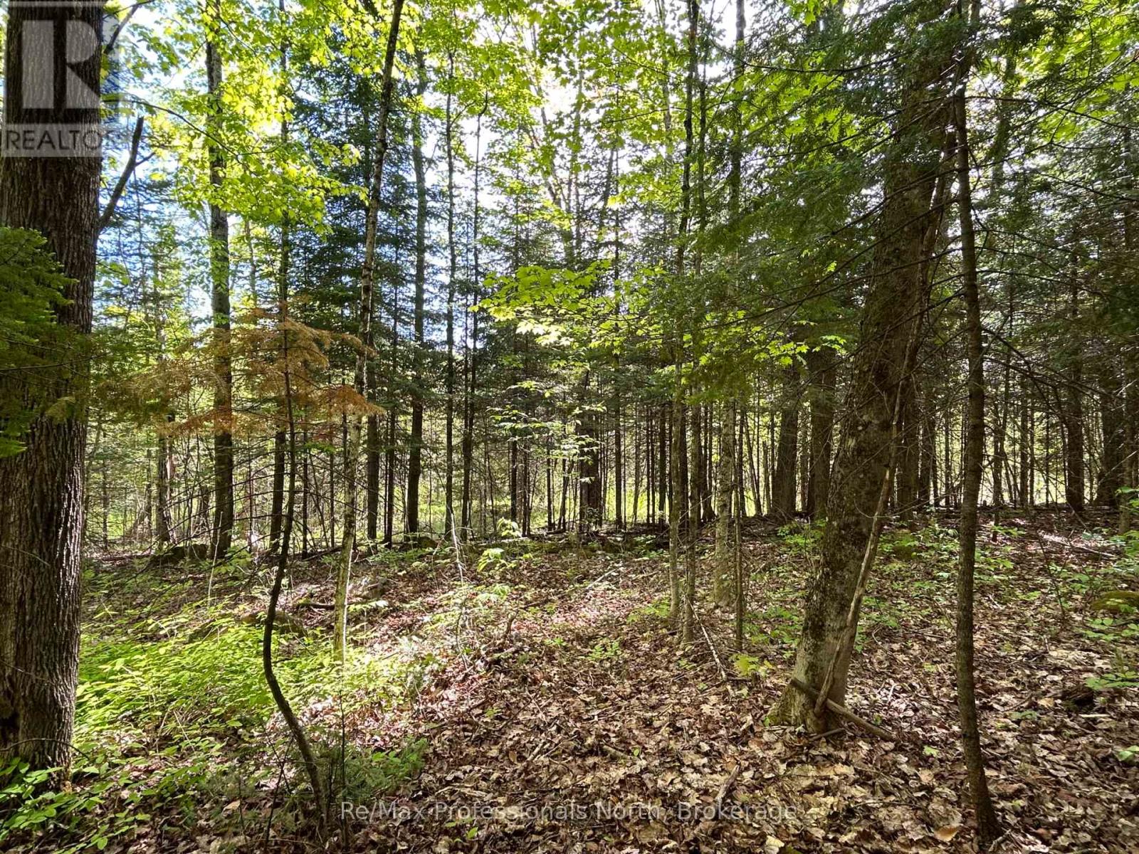 0 Sharon Lake Drive, Minden Hills, Ontario  K0M 2K0 - Photo 5 - X11884627