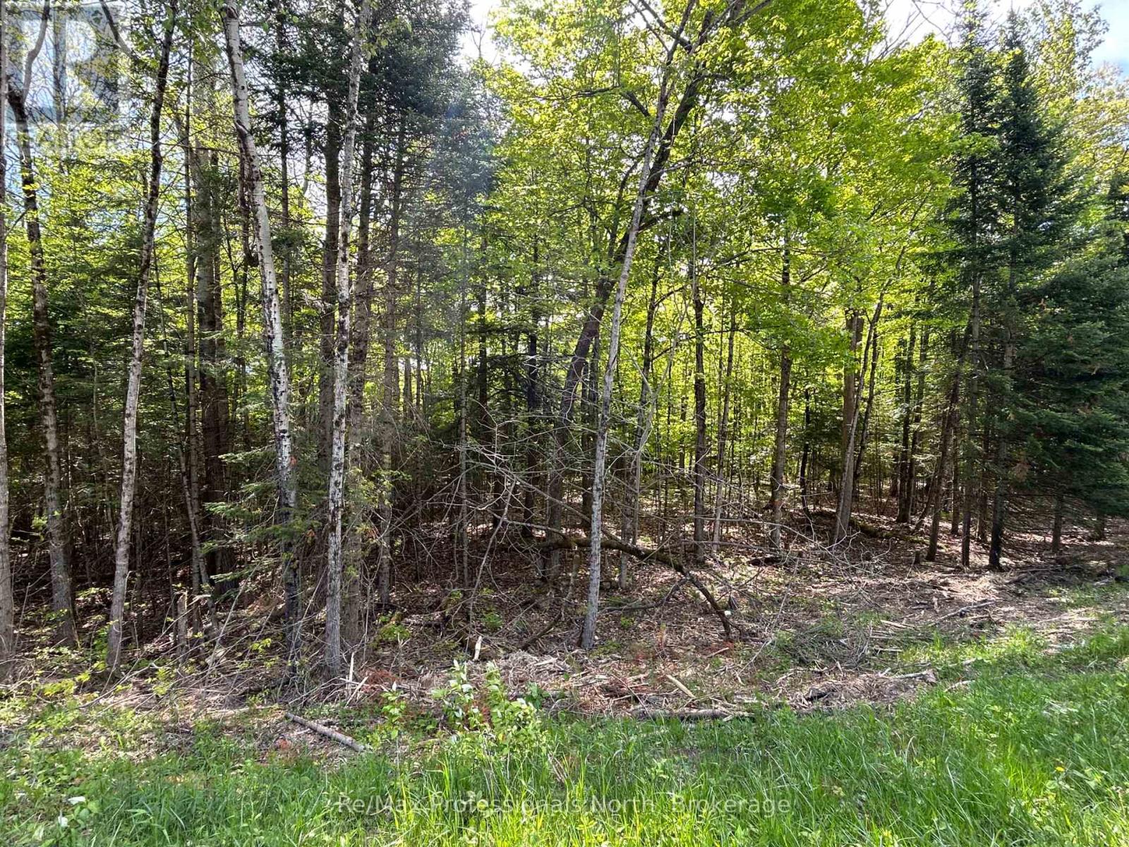 0 Sharon Lake Drive, Minden Hills, Ontario  K0M 2K0 - Photo 10 - X11884627
