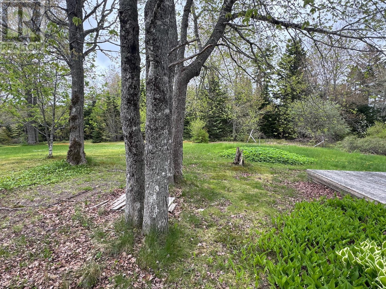 182 Greenville Road, Westchester, Nova Scotia  B0M 2A0 - Photo 32 - 202508632
