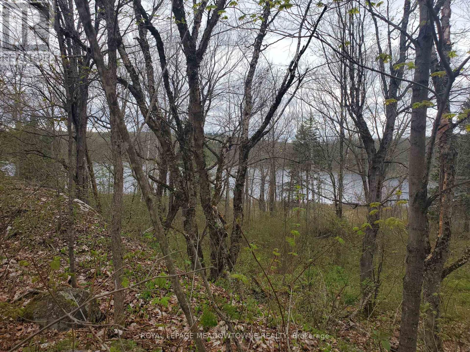 000 Clear Lake Road, Parry Sound Remote Area, Ontario  P0H 1A0 - Photo 2 - X12171204