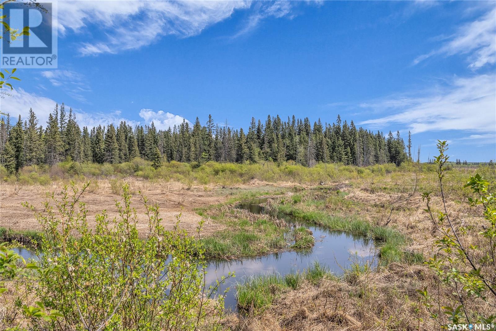 Twin Creek Ranch, Canwood Rm No. 494, Saskatchewan  S0J 1X0 - Photo 30 - SK007355