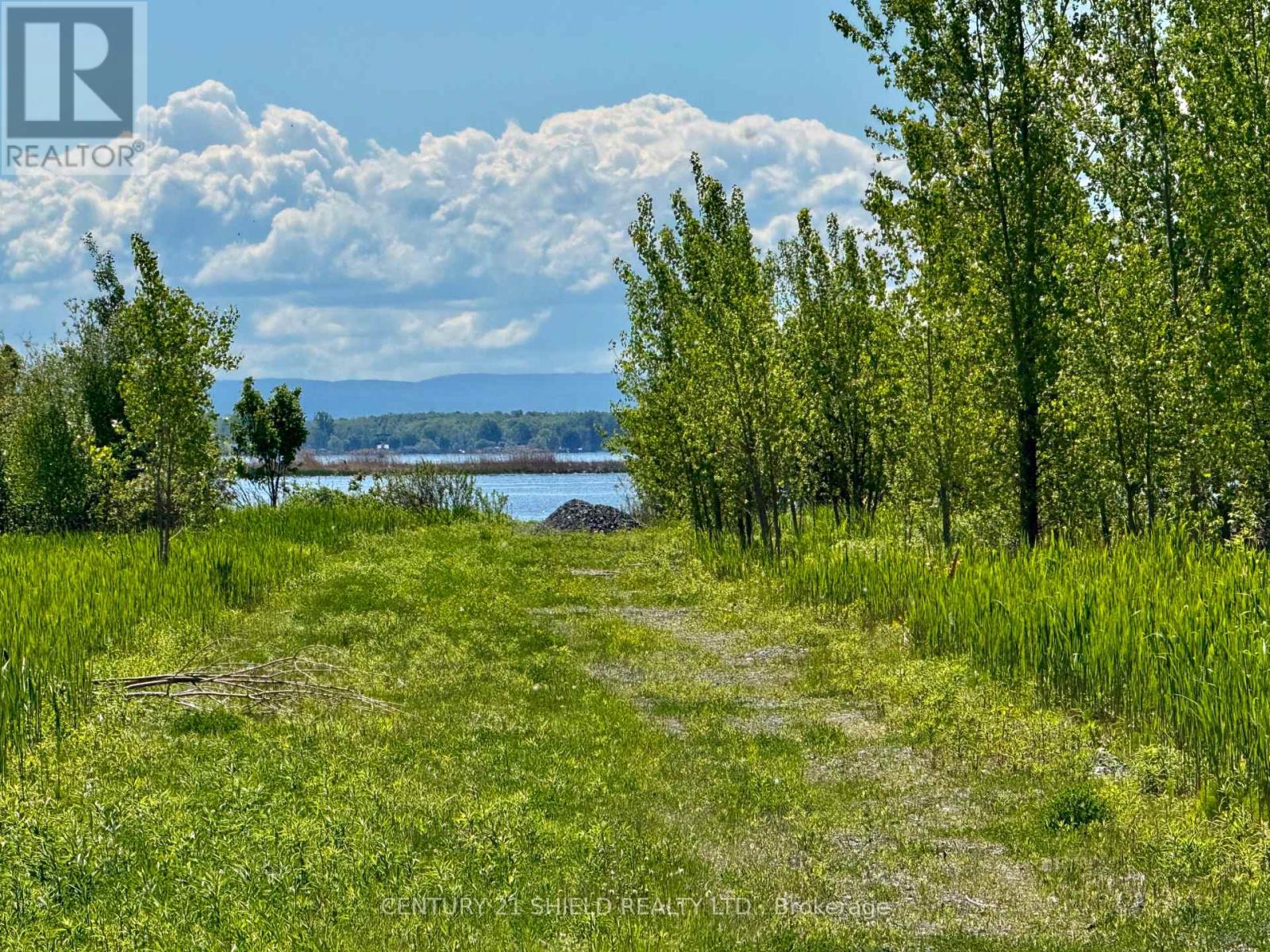 Pt Lot South Service Road, South Glengarry, Ontario  K0C 1E0 - Photo 6 - X12168109