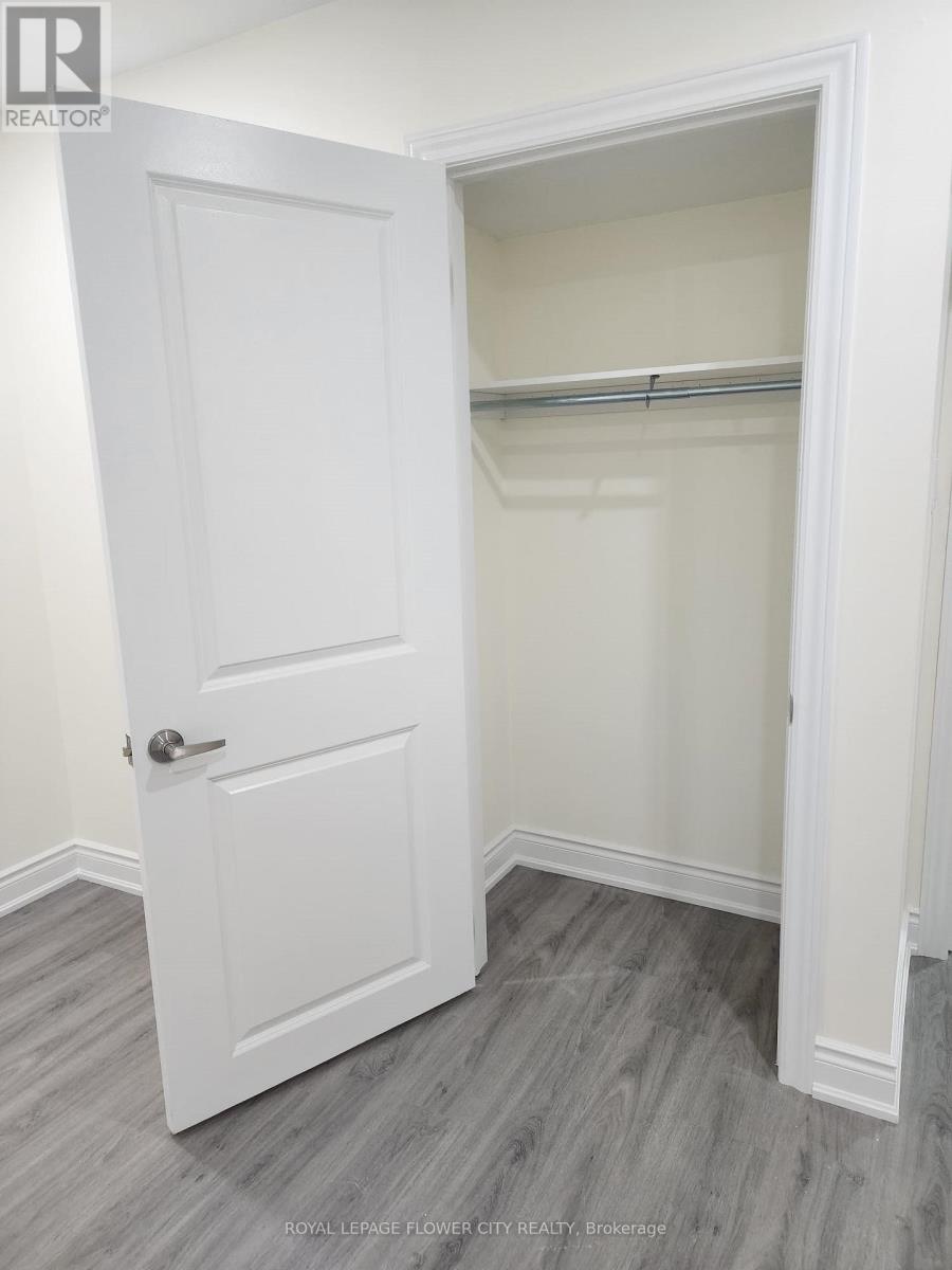 Bsmnt - 71 Purple Sage Drive, Brampton, Ontario  L6P 4P5 - Photo 4 - W12183251